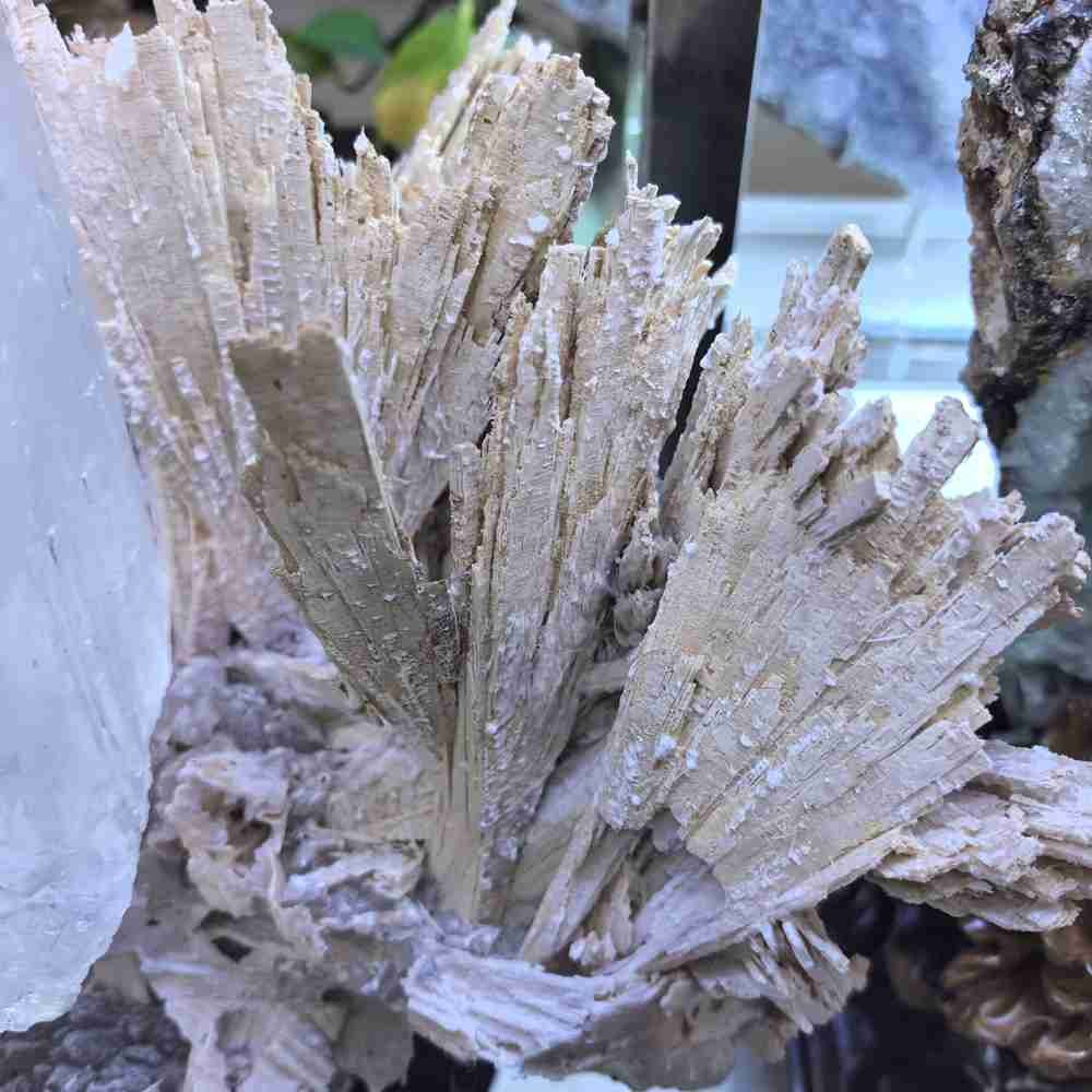 17LB Rare Natural Clear Selenite Gypsum Crystal Symbiosis Mineral Specimen