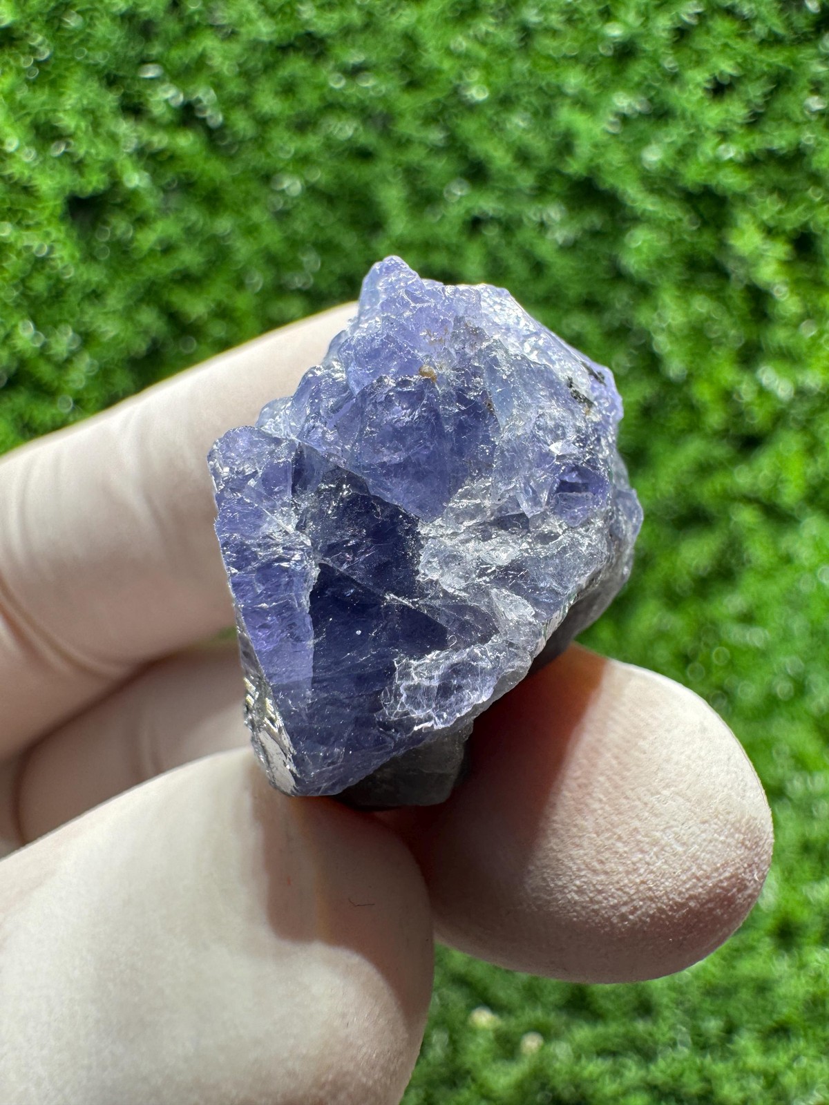 Lovely TANZANITE Crystal with COLOR CHANGE under yellow/white light / N759