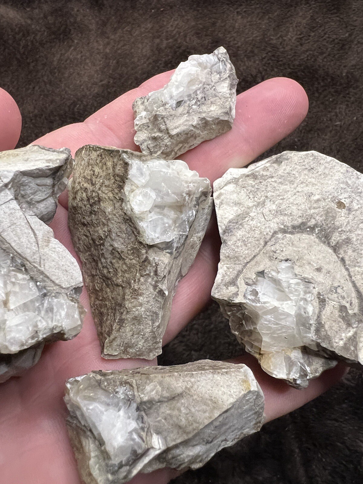 raw natural quartz crystal North East Mississippi Outcrop 5 Pieces