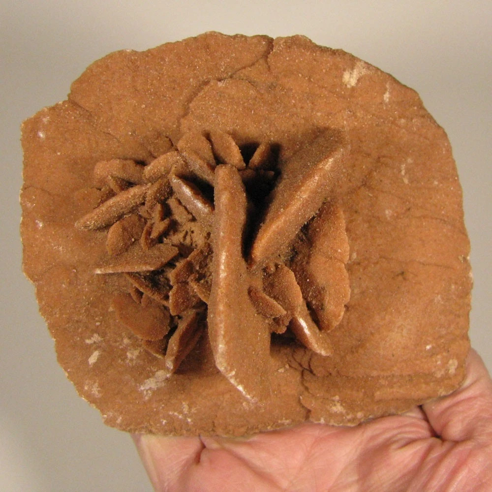 5.8″ Gypsum SELENITE Desert Rose Crystals Cluster – Morocco – 1.2 lbs.