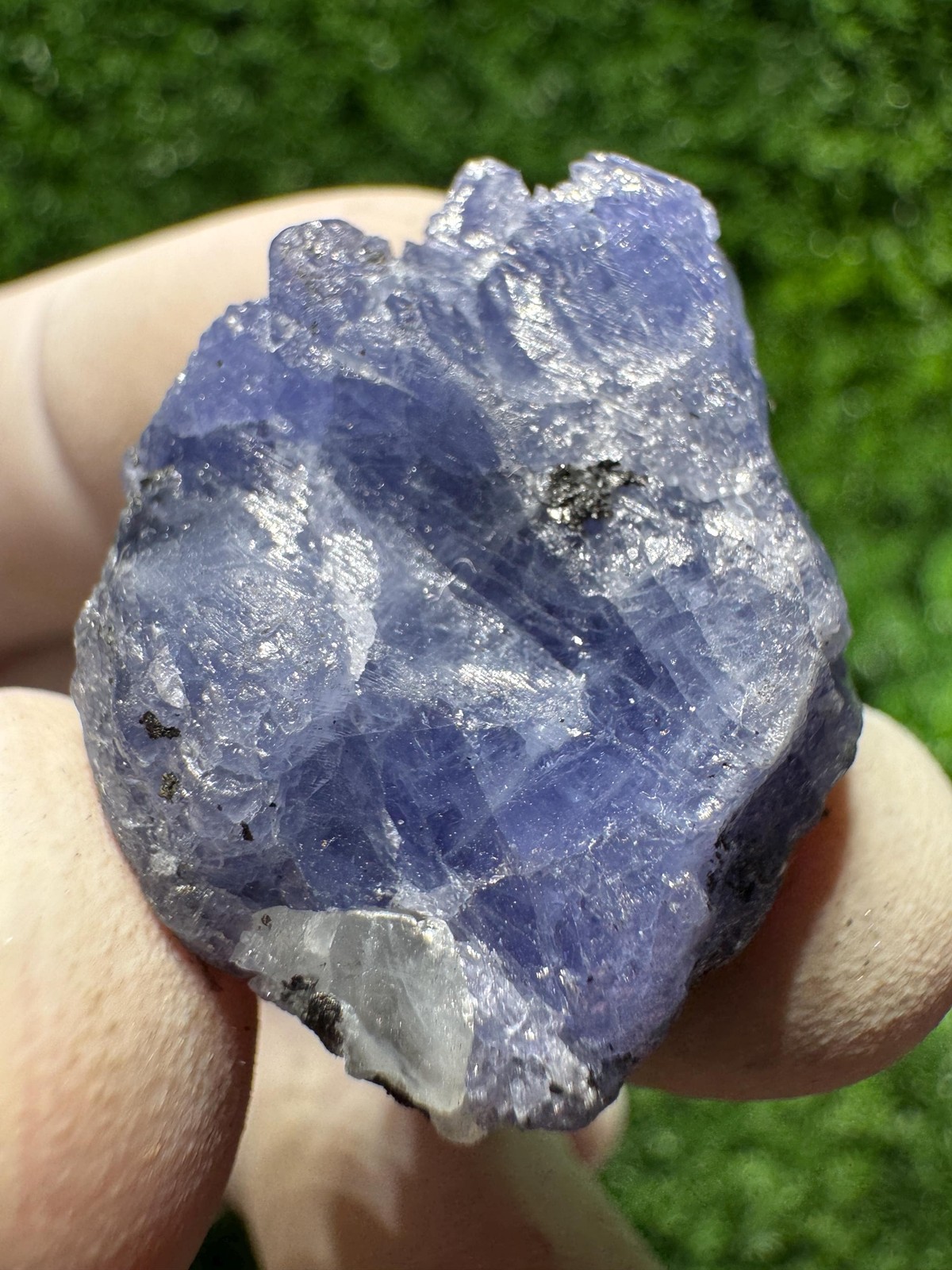 Lovely TANZANITE Crystal with COLOR CHANGE under yellow/white light / N443