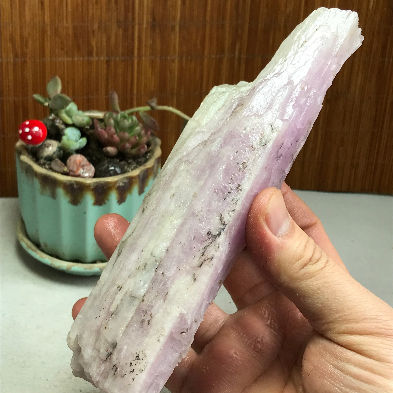 170-78-40mm NATURAL ROUGH KUNZITE PINK SPODUMENE CRYSTALS 830g A4613