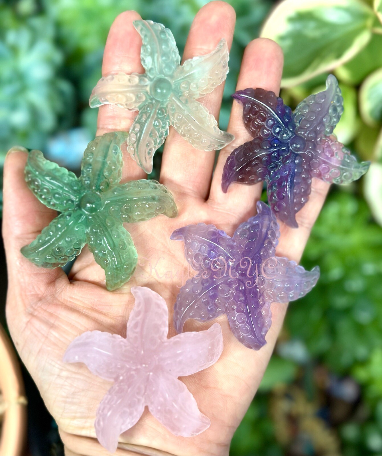 Wholesale Lot 10 PCs Natural Rose Quartz & Fluorite Starfishes Crystal Healing