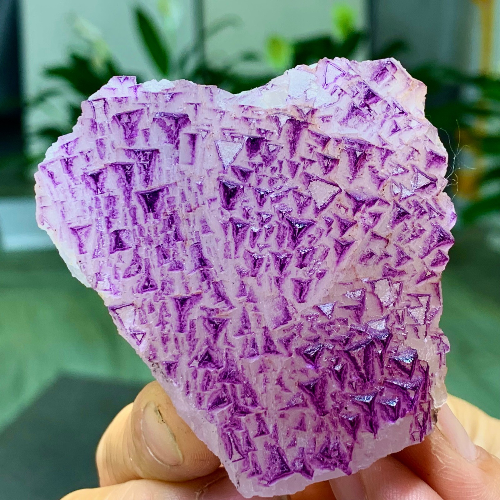 153G Natural fluorite purple edged cubic crystal mineral sample