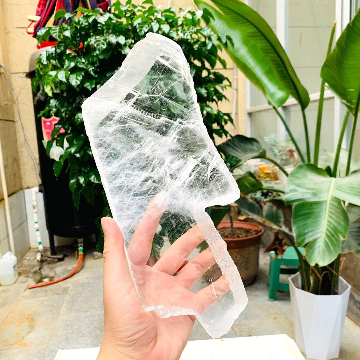 2.84LB Natural Clear Transparent Selenite Slab Gypsum Crystal Mineral Specimen