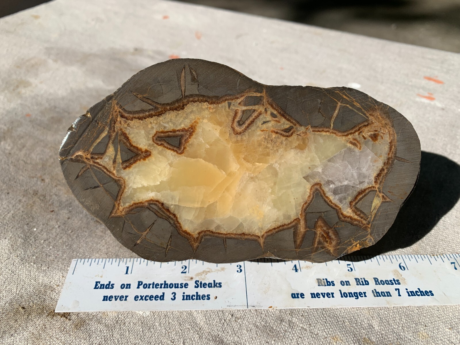☆2.7LB (1200Gr) 5.5 Inch Septarian DOUBLE Nodule 1/2 Geode Mineral from Utah☆724