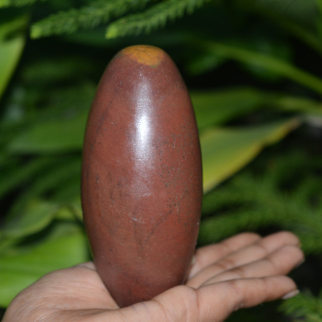 4.5″,4.5″Shiva Lingam Stone Narmada River India Special Rare Gorgeous Lingam~973
