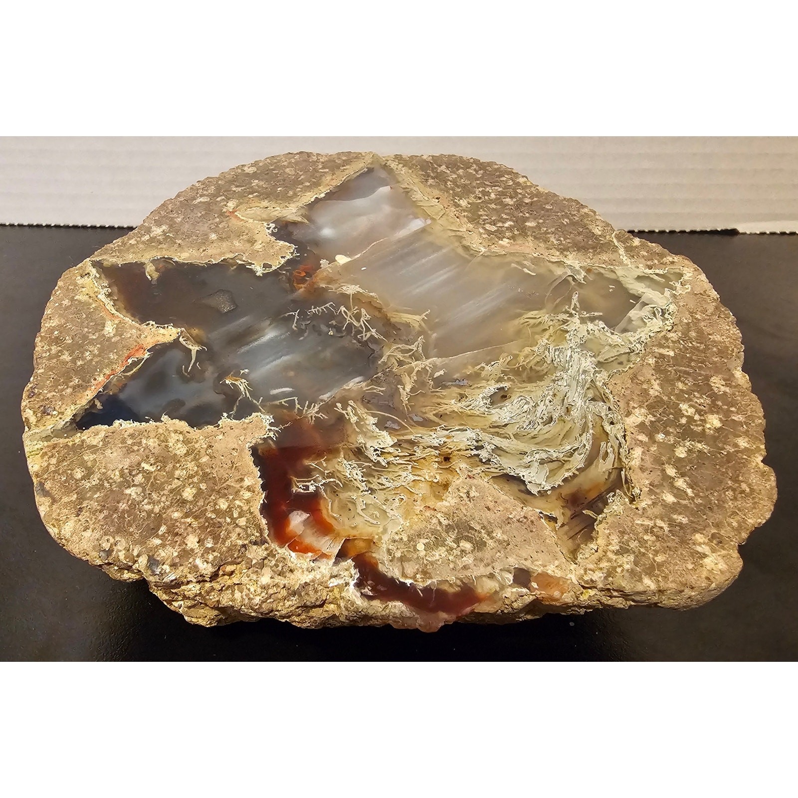 Thunder Egg Geode with Brown and White Chalcedony Crystal