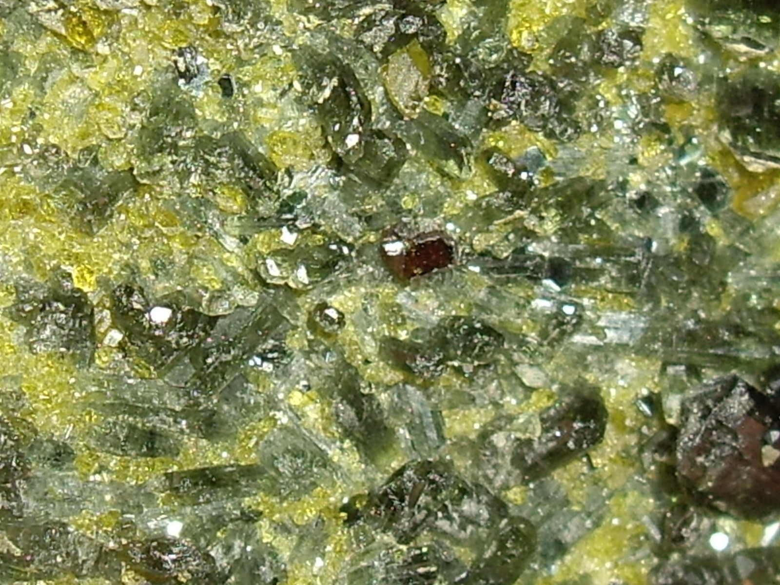 Awesome Magnetite, Vesuvianite, Garnet, and Diopside Crystals on Matrix 23.3g