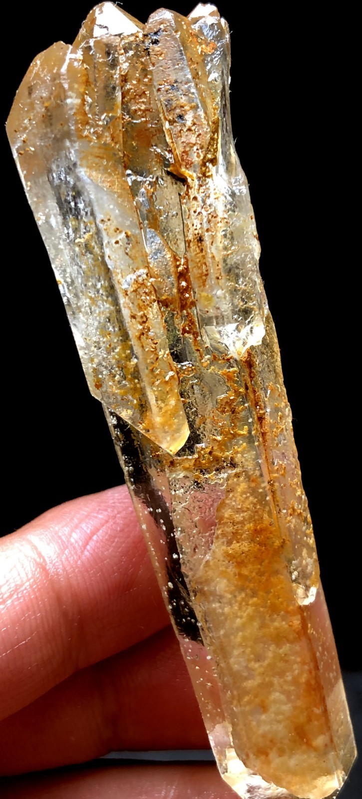 46g 1PC Himalayan Natural singing Lemurian Quartz Lemurian Crystal Point t917