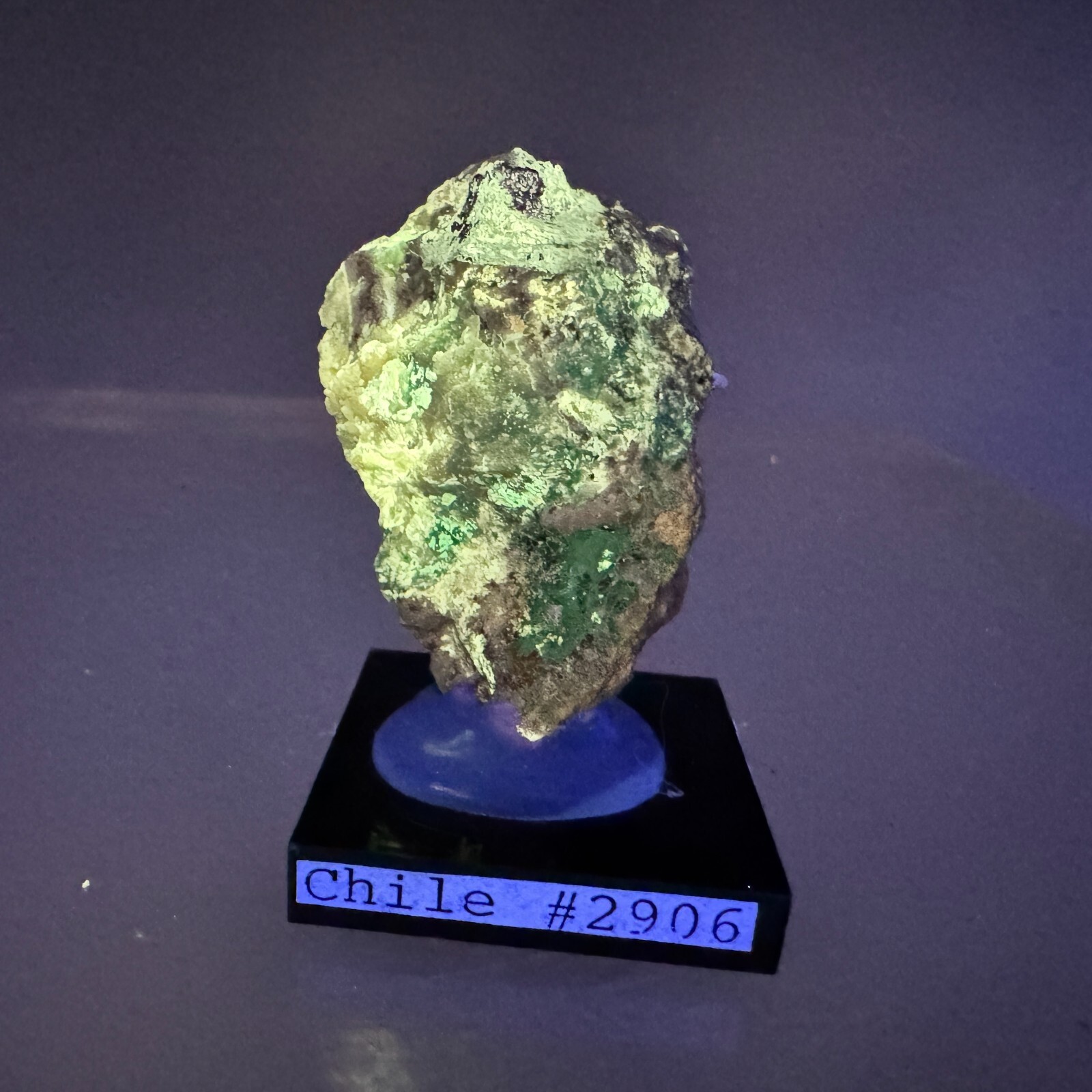 Powellite: Jardinera No. 1 Mine, Atacama, Chile- Rare!