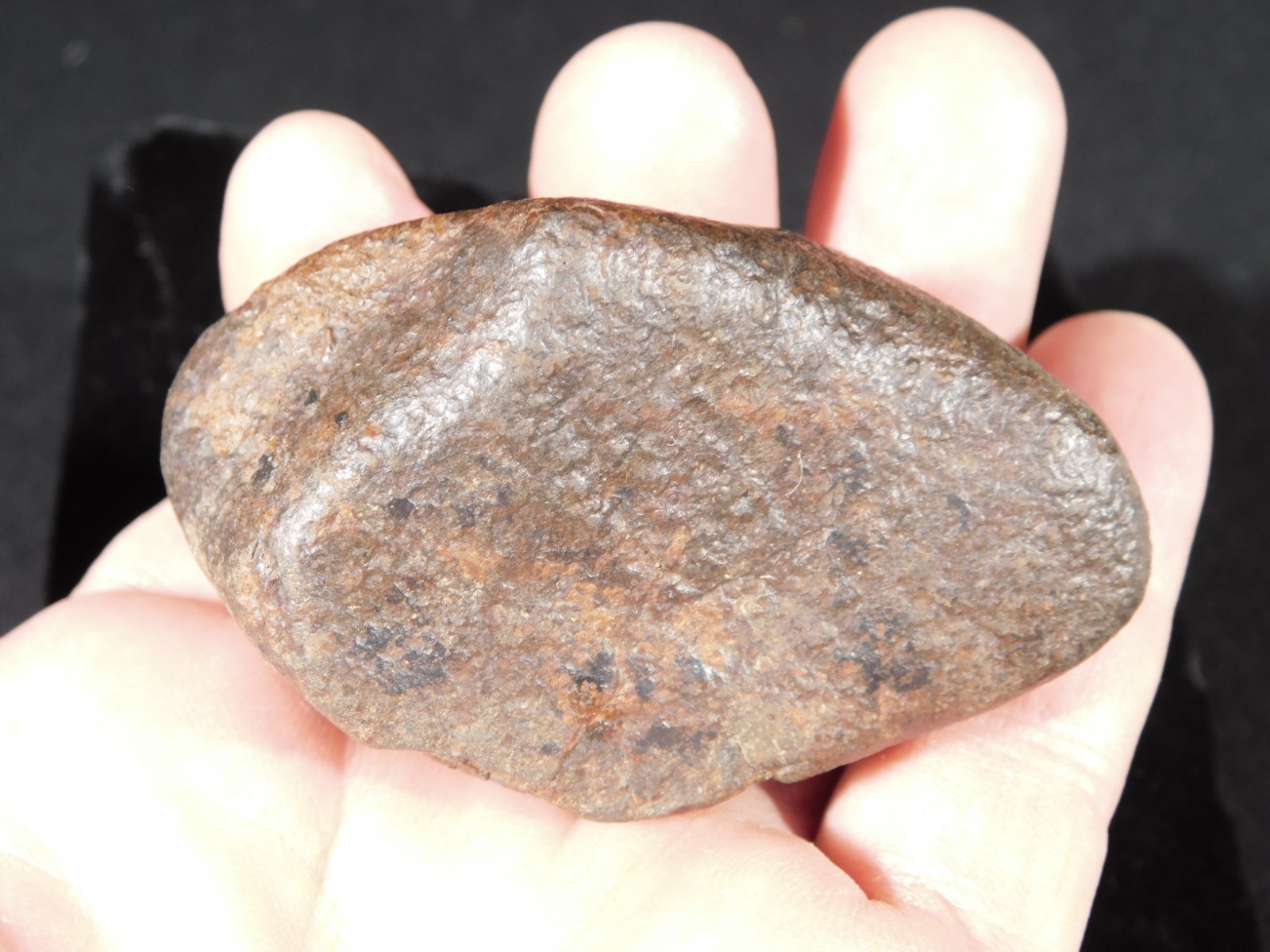 Nice! and 100% Natural Stony METEORITE FELL in Libya 181gr