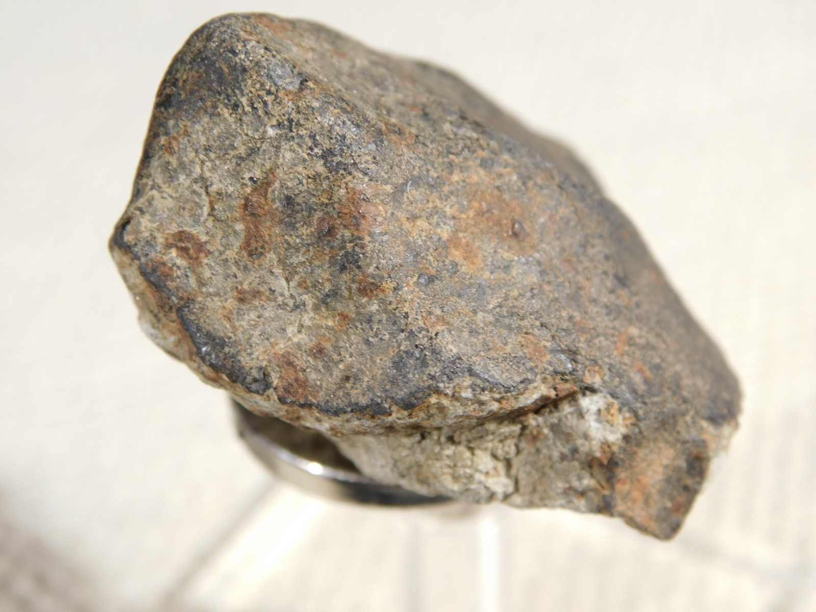 Classified NWA 8245 METEORITE 100% Natural FELL in Erfoud, Morocco 63.2gr