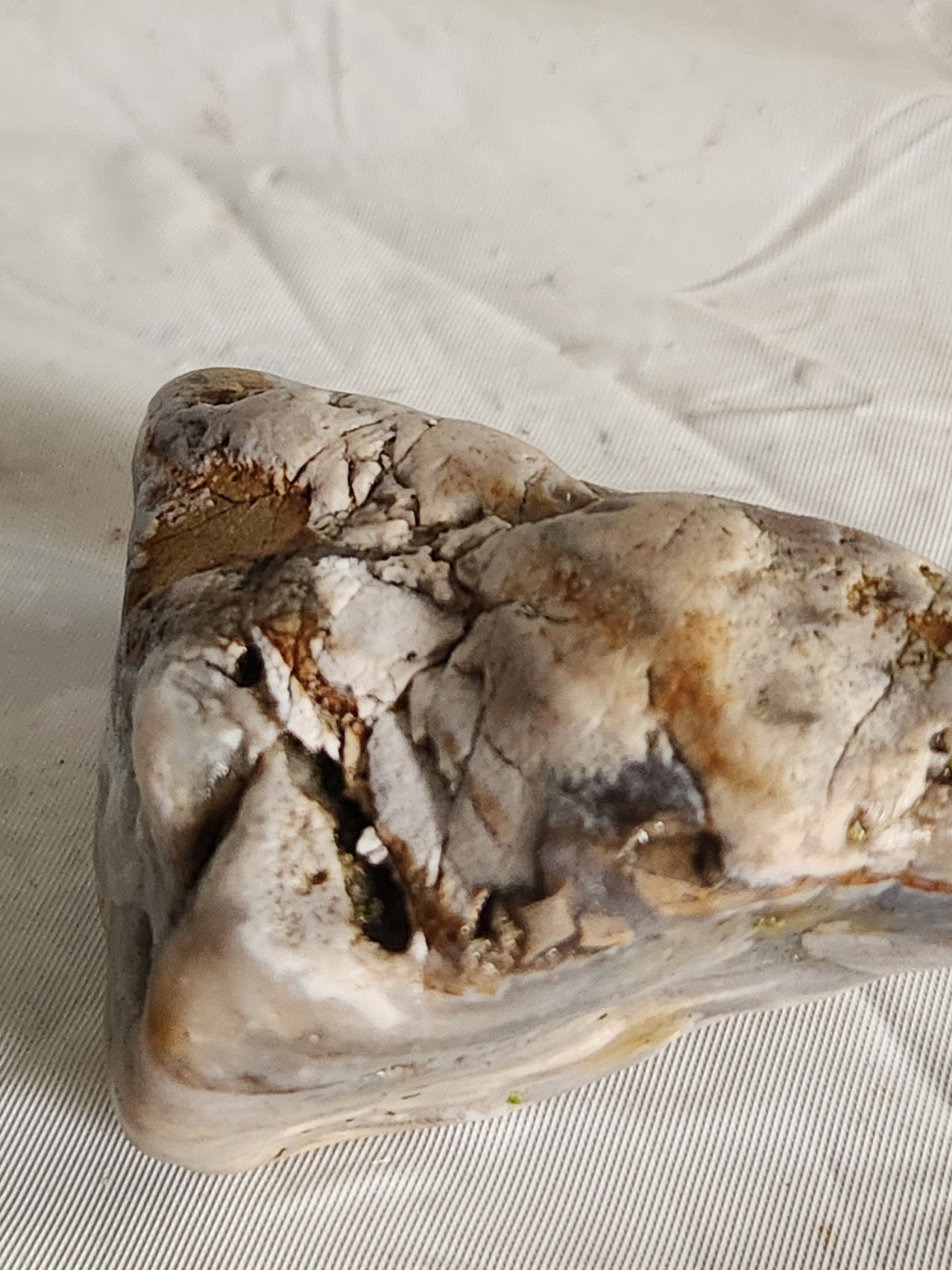 Lake Superior Agate Wisconsin 5.6 oz • Not Polished