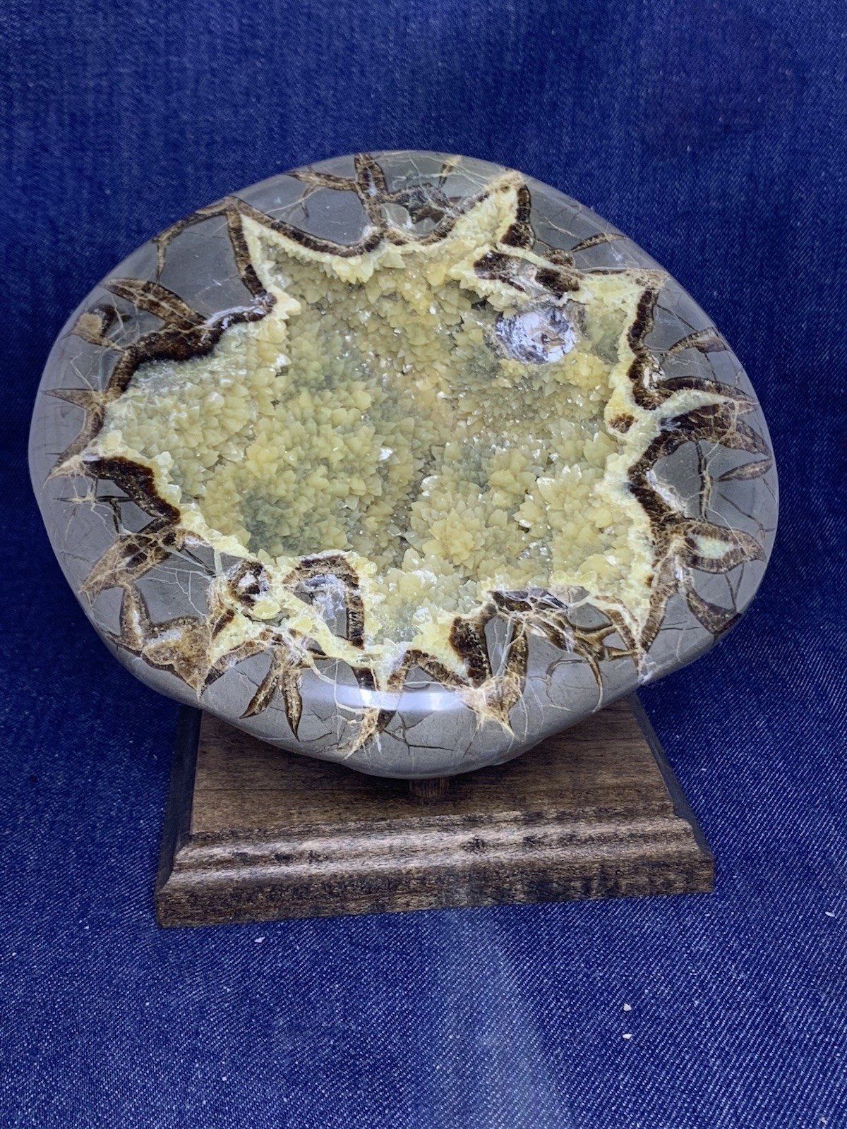 Septarian Nodule Dragon Stone Hollow Half ( Utah) Description Card, And Stand