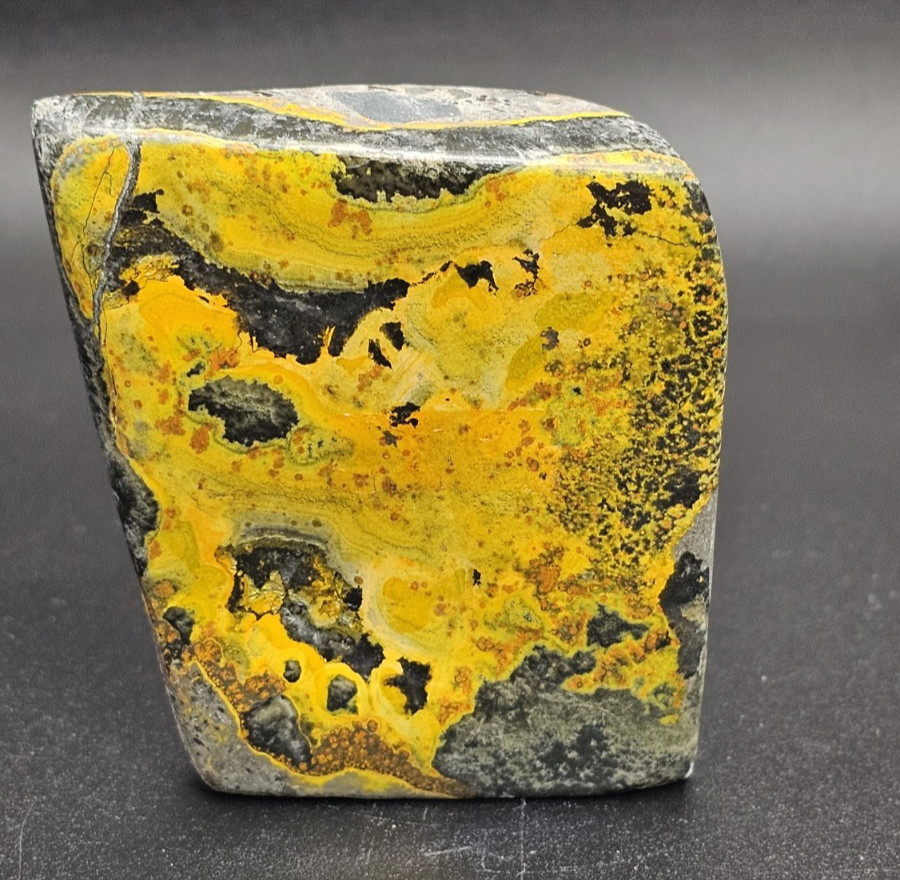 Bumblebee Jasper with Eyes Freeform Standup Display Piece Rare – US Seller R