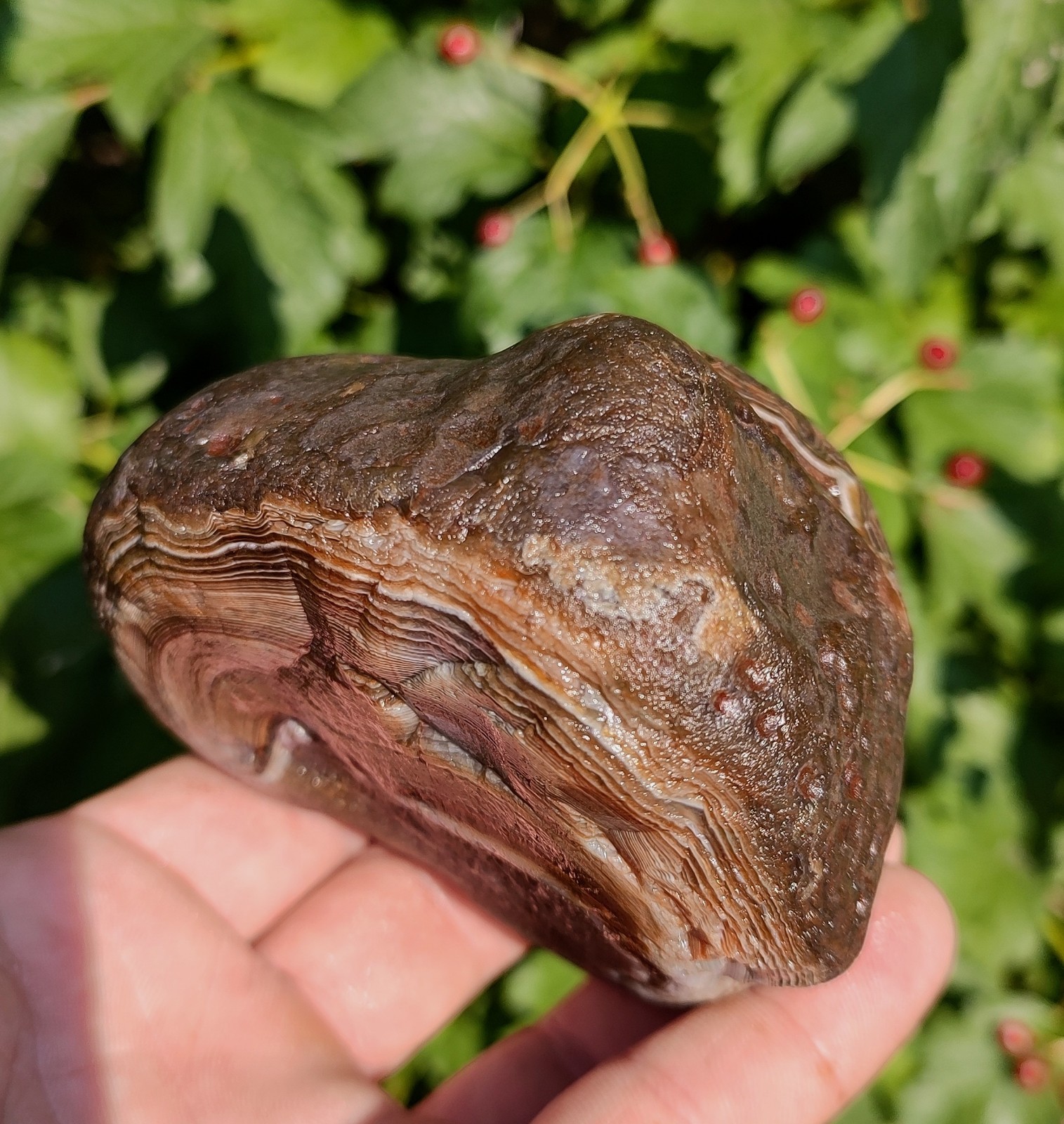 Lake Superior Agate✨, 1lb 8.7oz Outstanding Mixed Color Lake Superior Gem