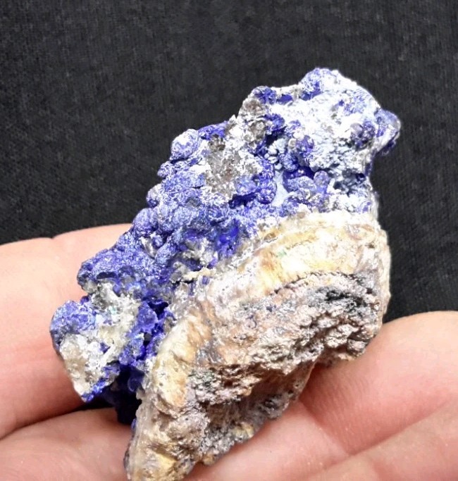 12 Piece AZURITE with QUARTZ and FLUORITE from Sierra Rica, Chihuahua, Mexico