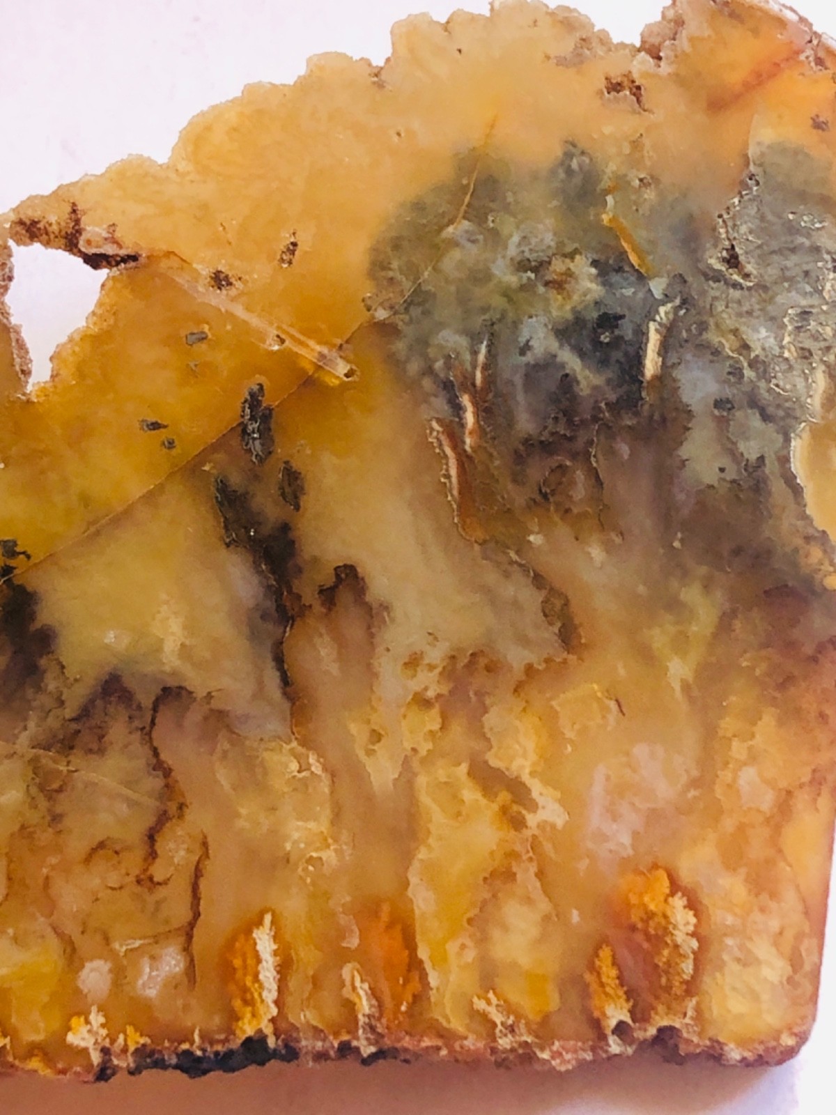 Graveyard Plume Agate Museum Grade Collectors Slab Oregon 202 Grams