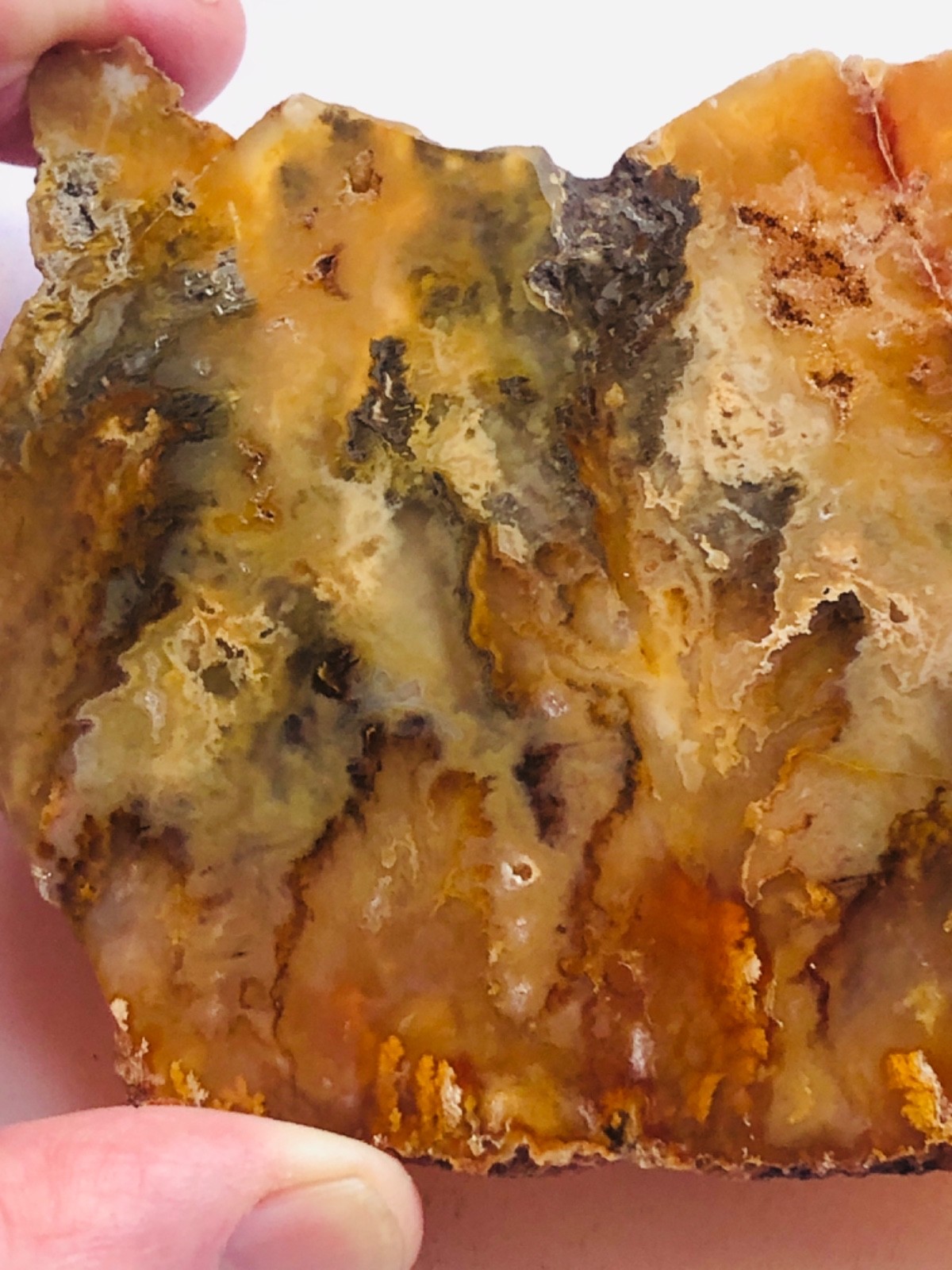 Graveyard Plume Agate Museum Grade Collectors Slab Oregon 202 Grams