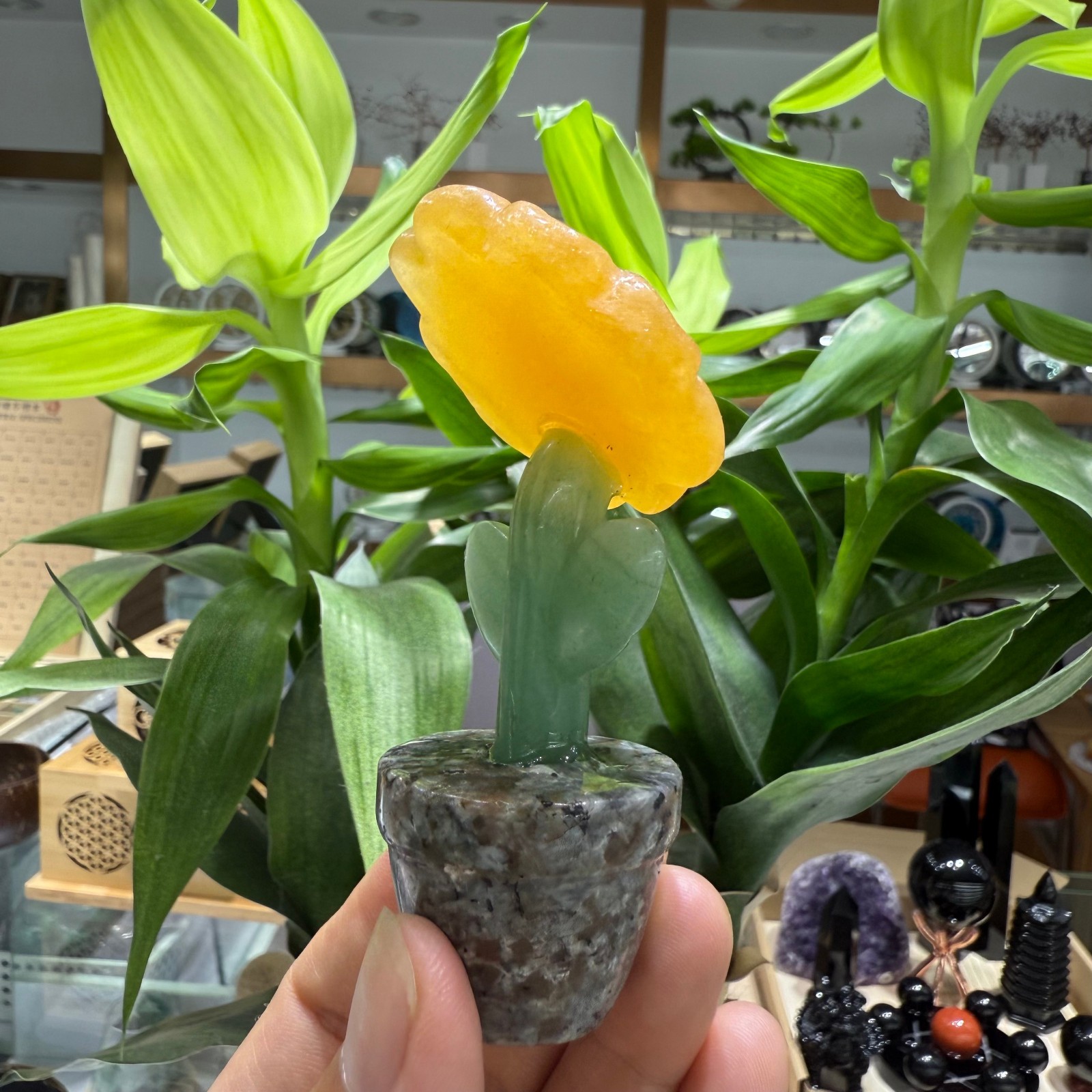 3.3″ natural geode stone Sunflower quartz Crystal Healing Energy Decor