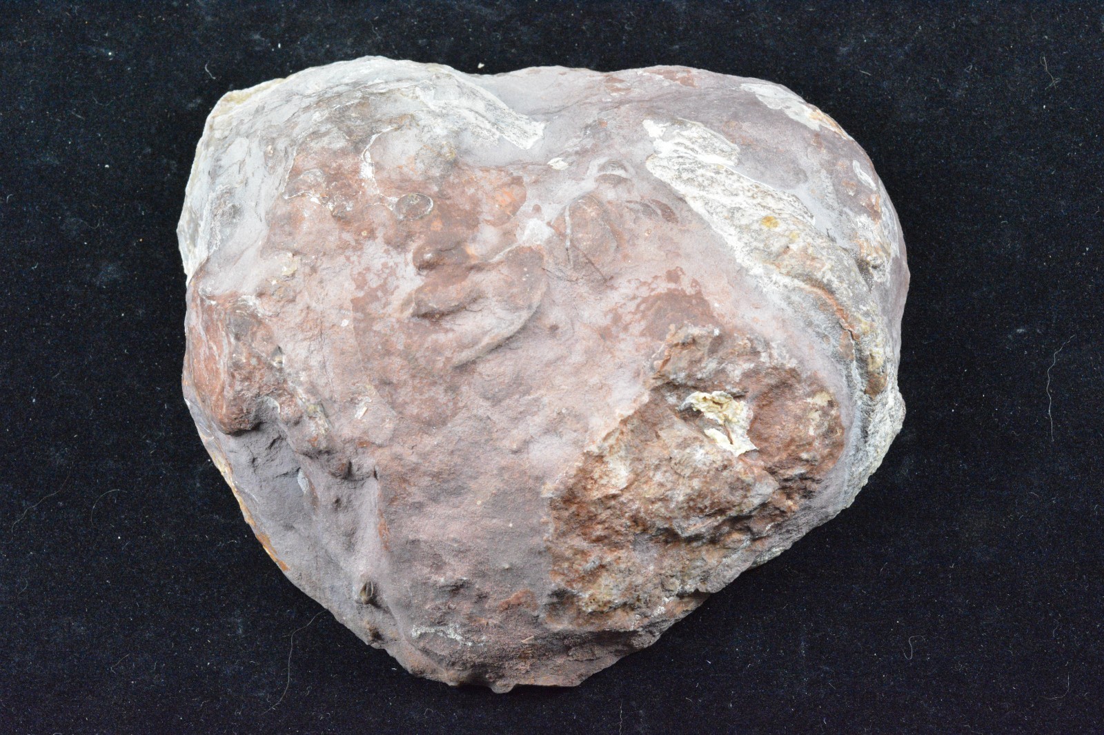 Large Dryhead Agate, Polished, Montana, 5.5×5.25×2″