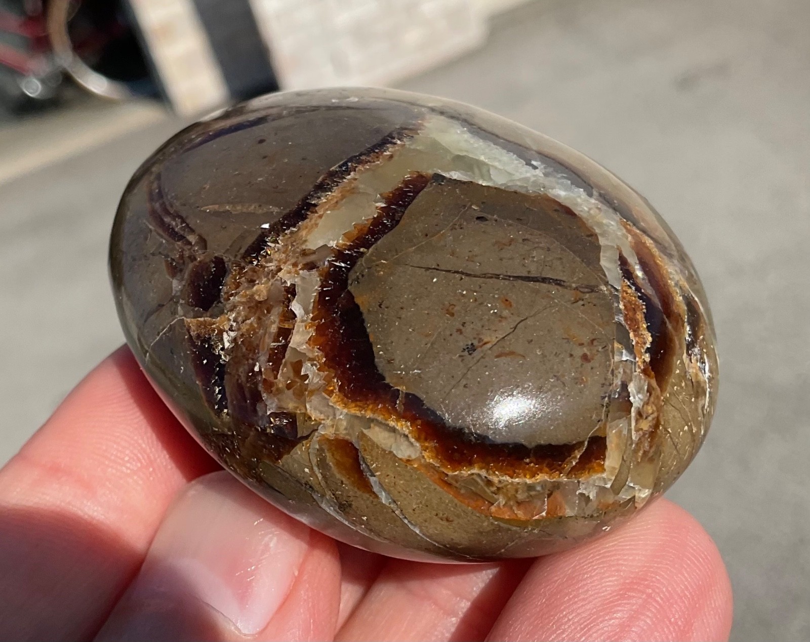 118g Polished Septarian Palmstone Dragon Egg Geode Fossil Worry Stone