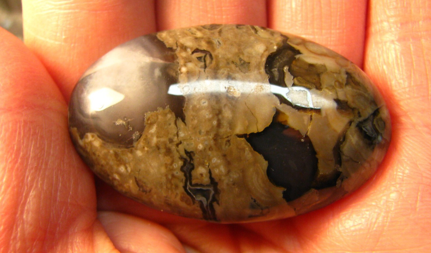 2in x 1.25in 33g VESUVIANITE AGATE POLISHED PALMSTONE FLUORESCENT CHINA #439