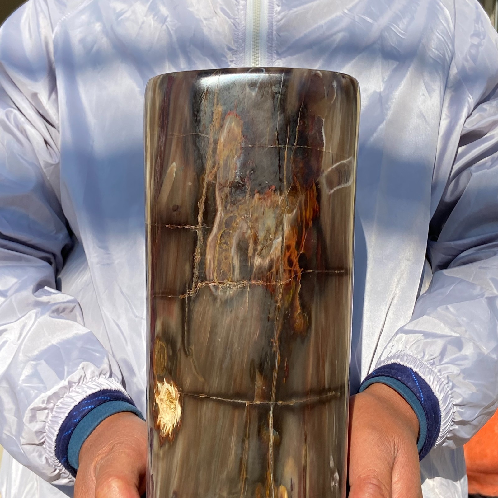 23.72LB Natural Petrified Wood Crystal Fossil Landscape Specimen Reiki Healing