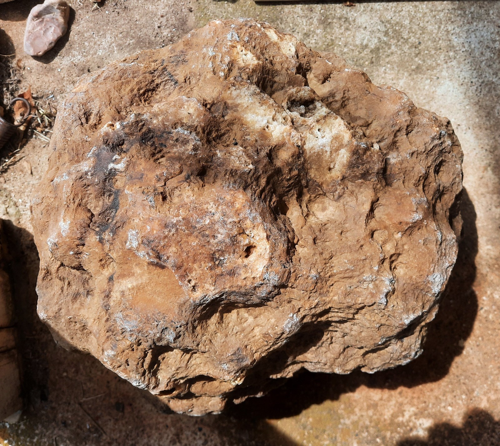 Rare 10.5″, Incredible 30″ Circumference. Calcite Geode from Southern Kentucky