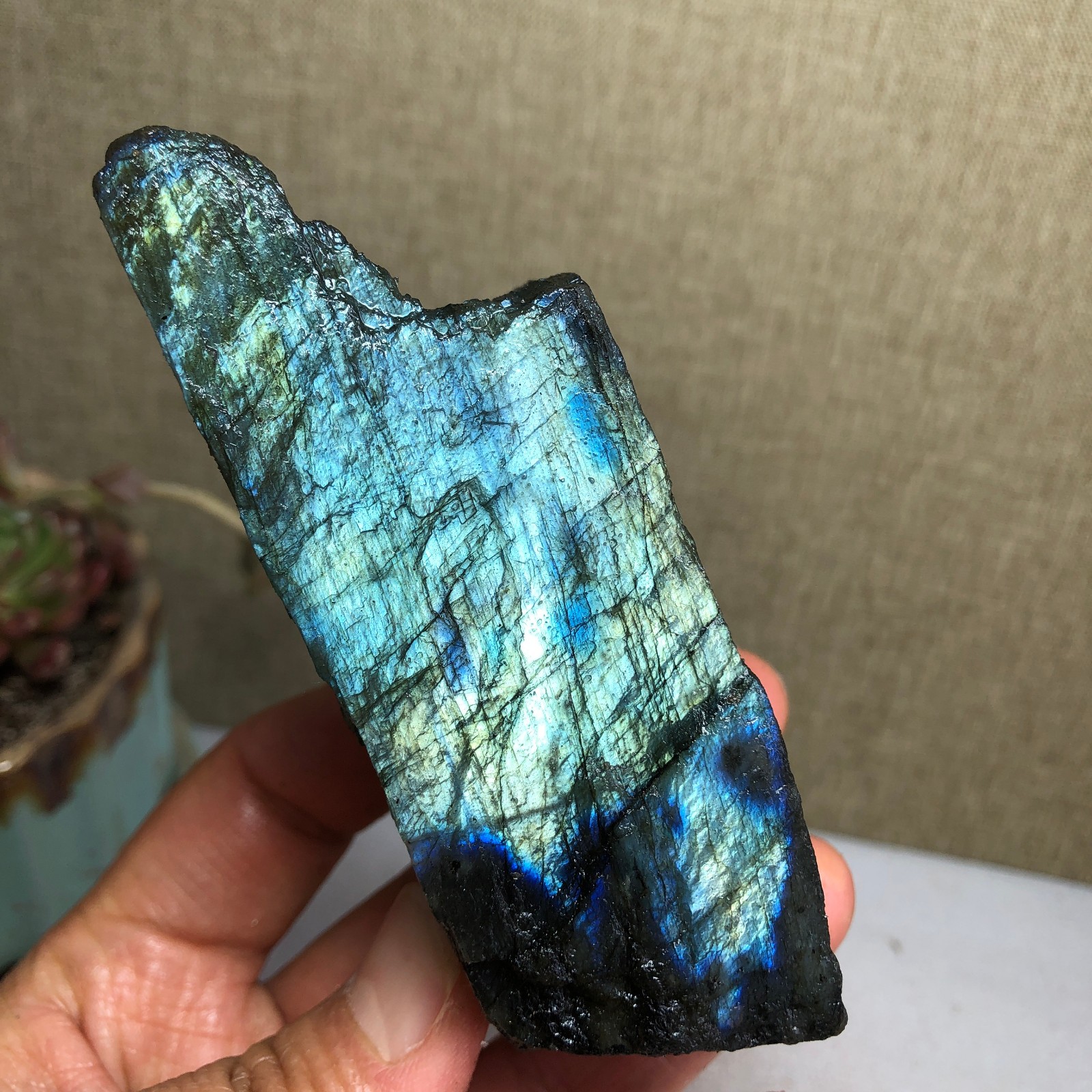 92-34-36mm Natural Labradorite Crystal gemstone Rough Mineral Specimen A4418