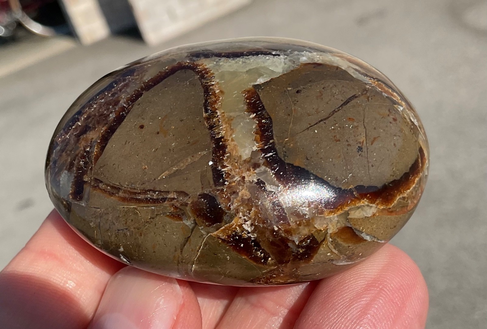 118g Polished Septarian Palmstone Dragon Egg Geode Fossil Worry Stone