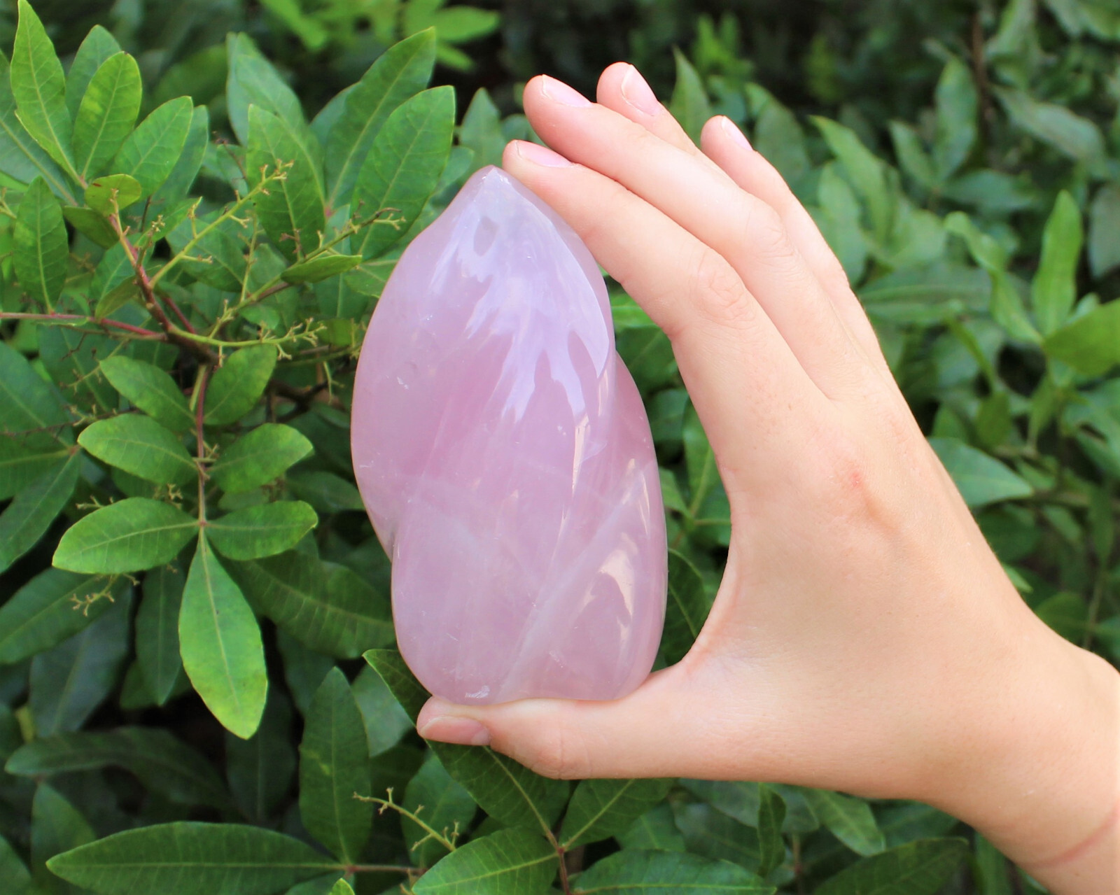Polished Rose Quartz Crystal Flame – Natural Rose Quartz Flame Cut Base Specimen