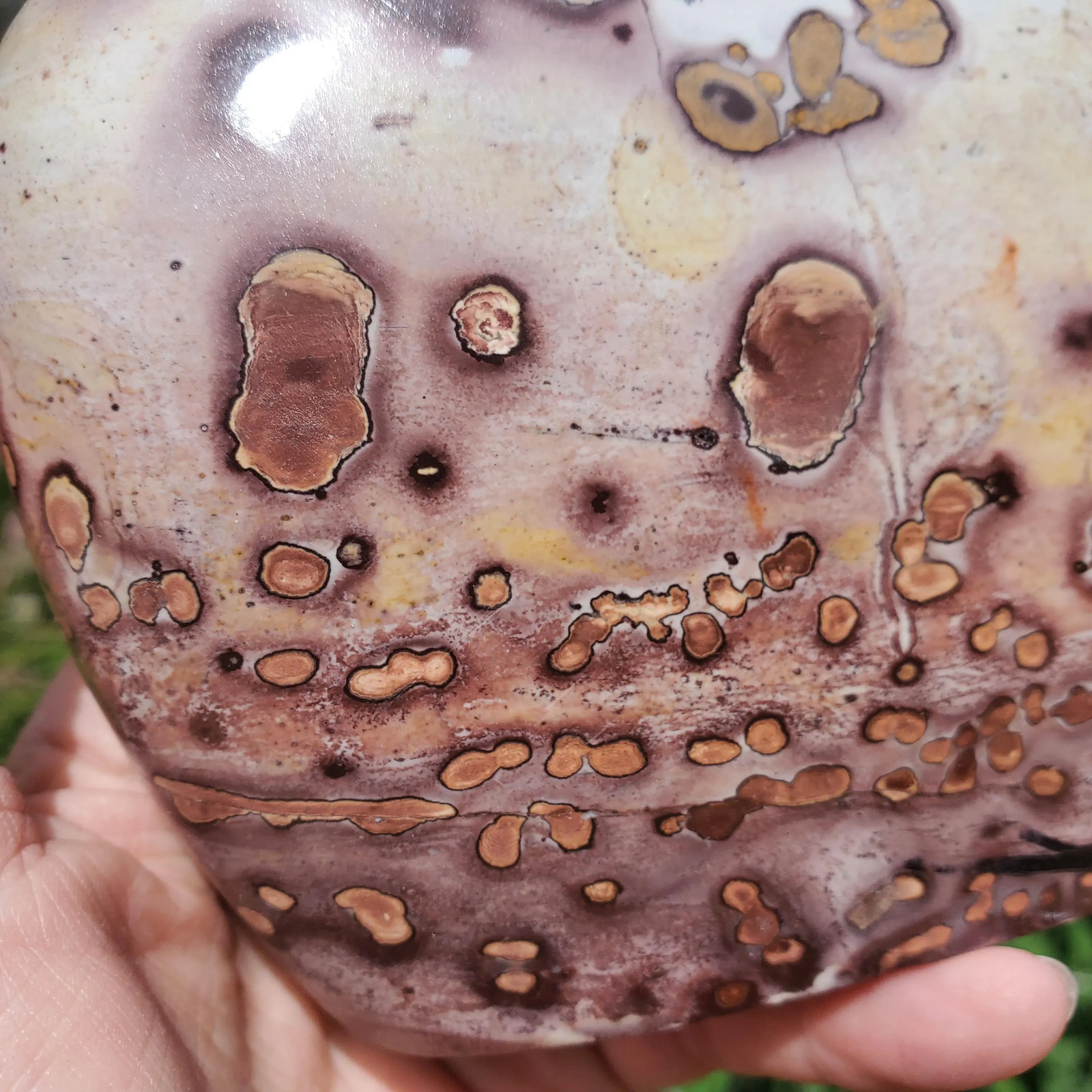 Picture Stone Jasper Dendritic Dendrite Display Freeform | 3lbs 1oz | 1330 Gram
