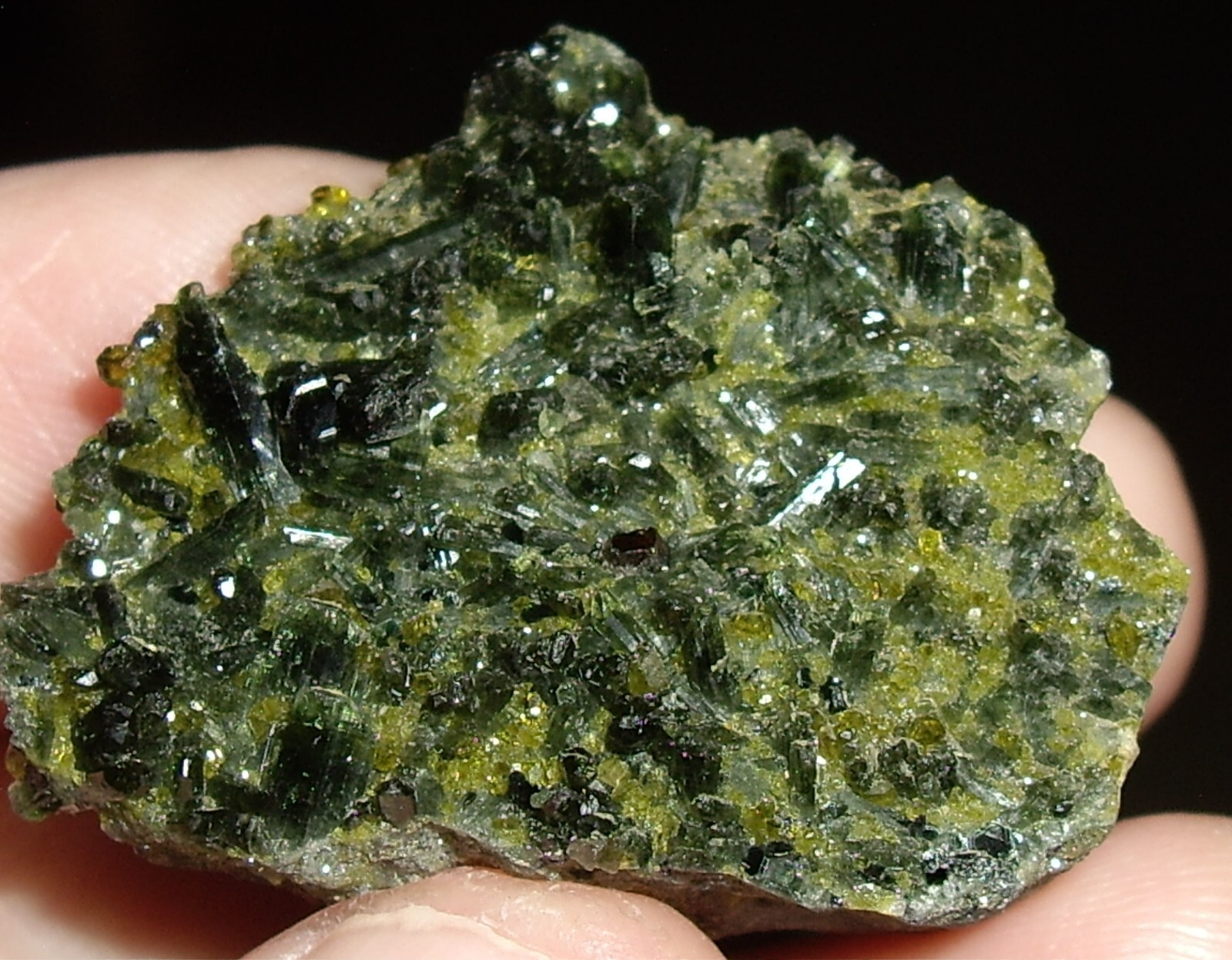 Awesome Magnetite, Vesuvianite, Garnet, and Diopside Crystals on Matrix 23.3g