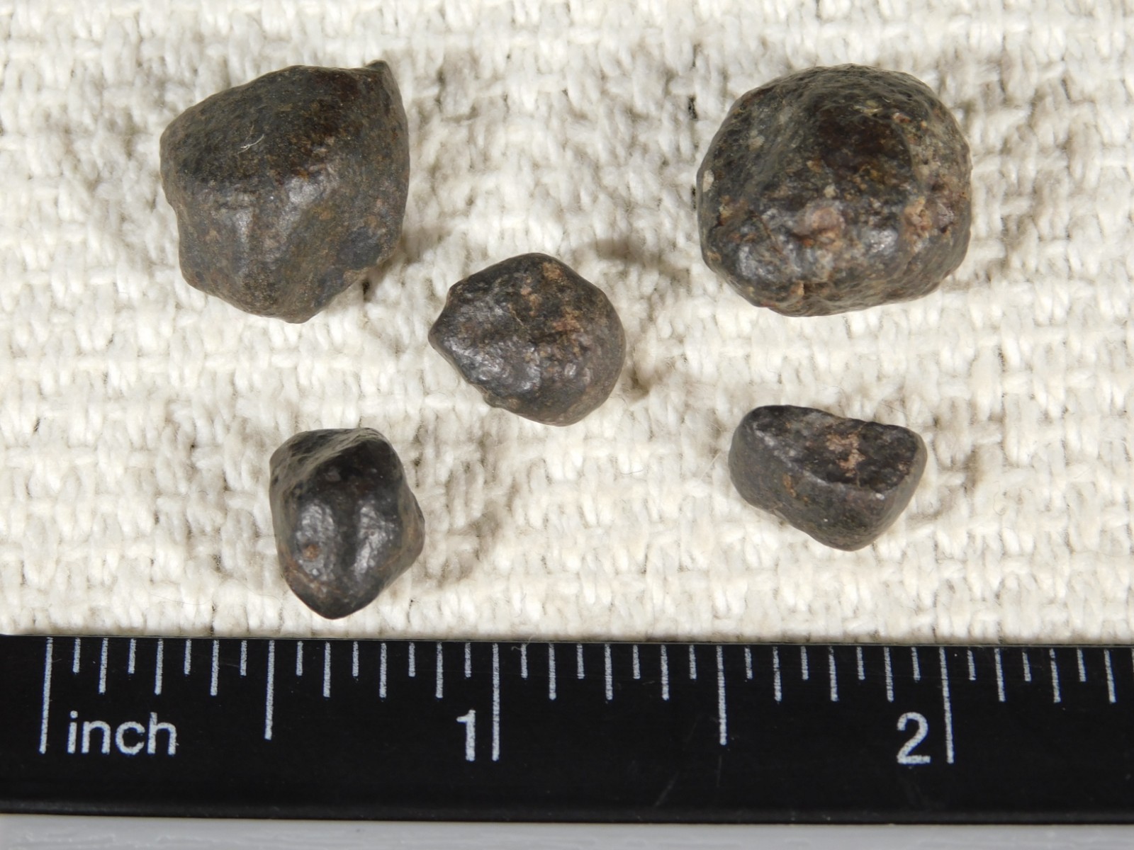 Lot of FIVE! Little 100% Natural N.W.A. Stony METEORITES Algeria 13.2gr