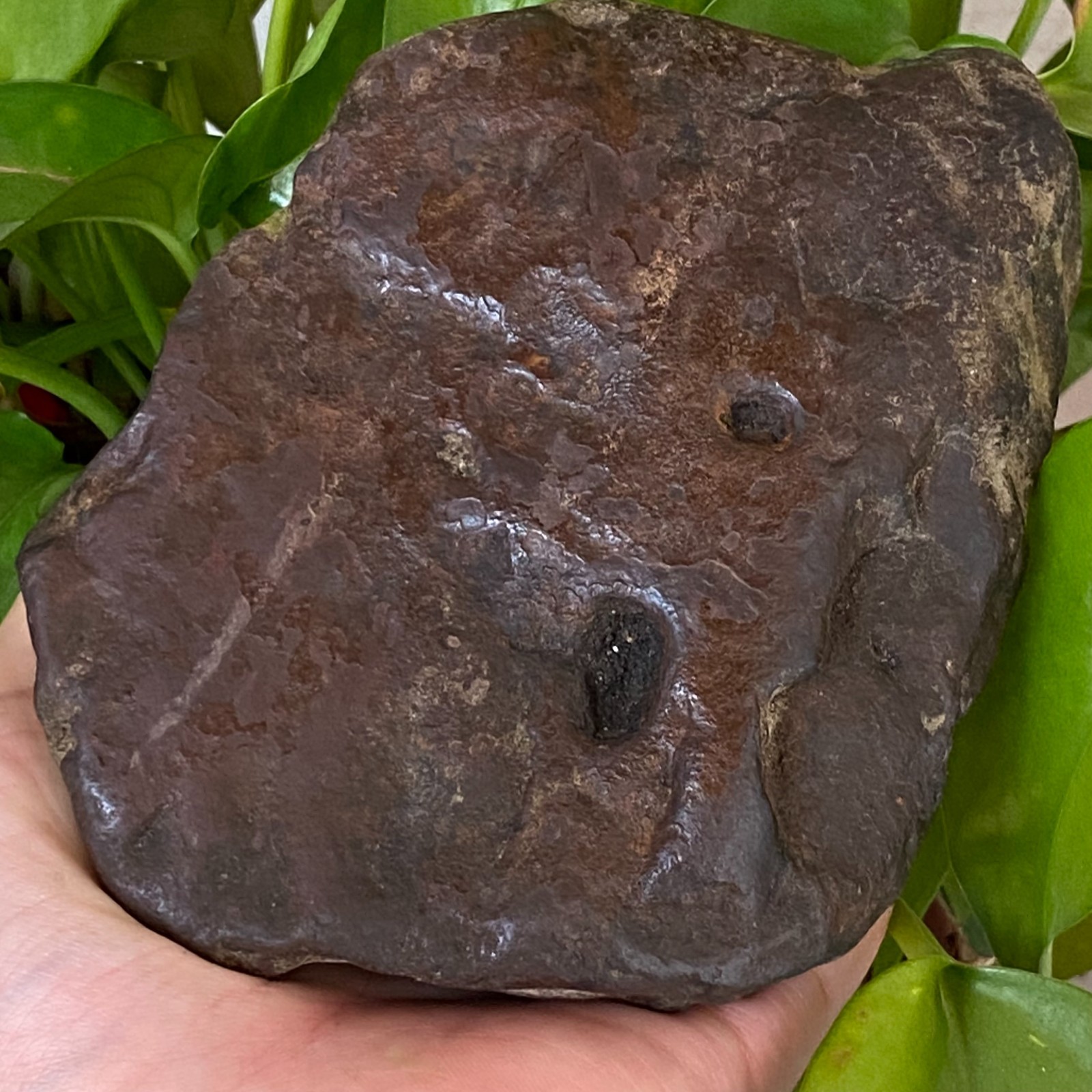 1357g Natural Iron Meteorite Specimen from China W380