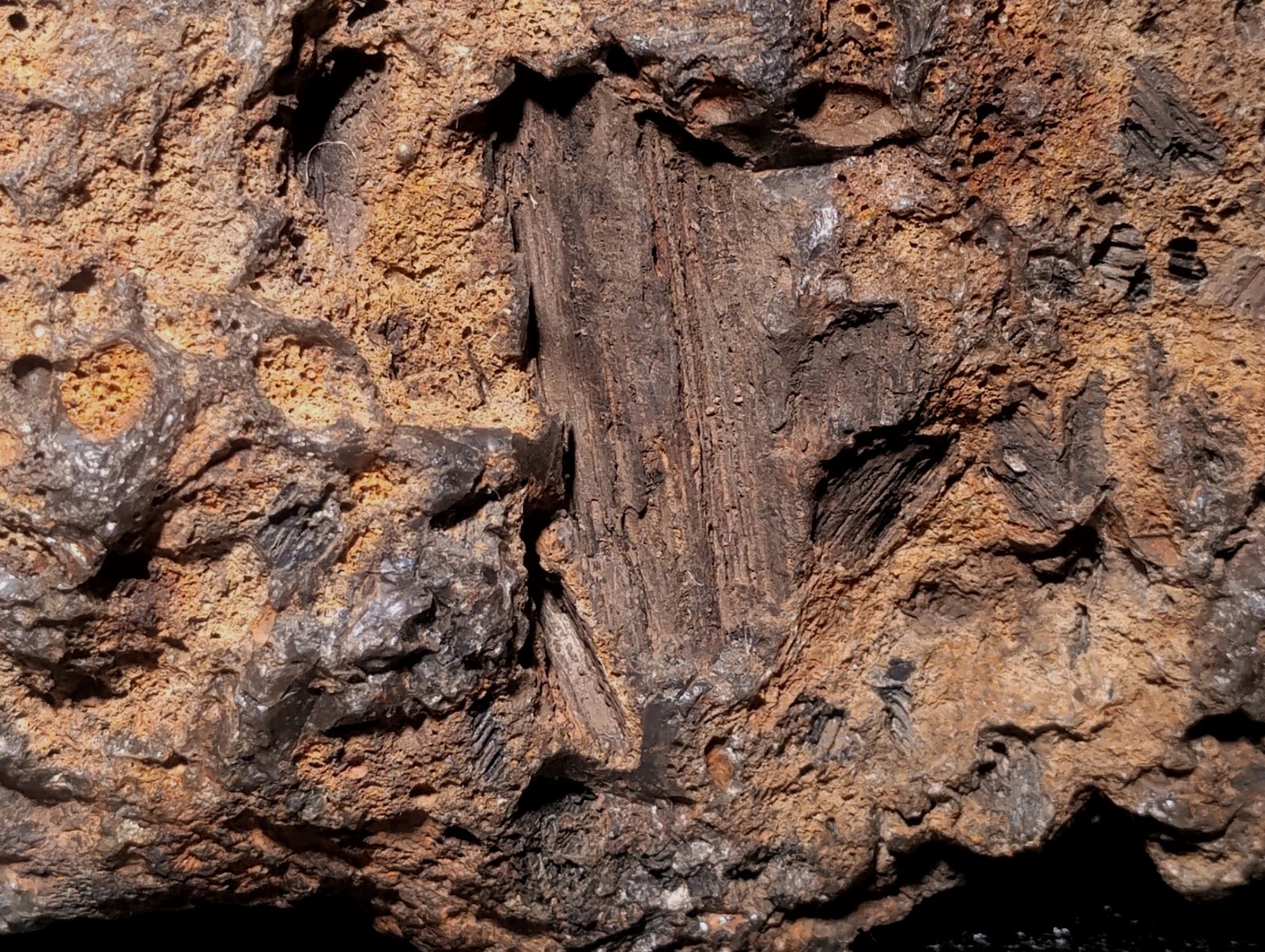 8″ Rare Missouri Iron-Aged Fossil Wood in Smoky Chalcedony – Knob Creek