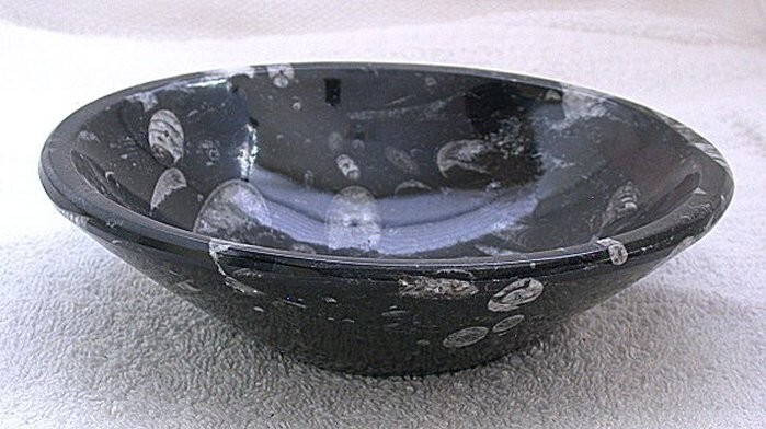 7 7/8 Inch x 2 3/8 Inch Orthoceras Fossil Handcrafted Moroccon Bowl MB4/52225