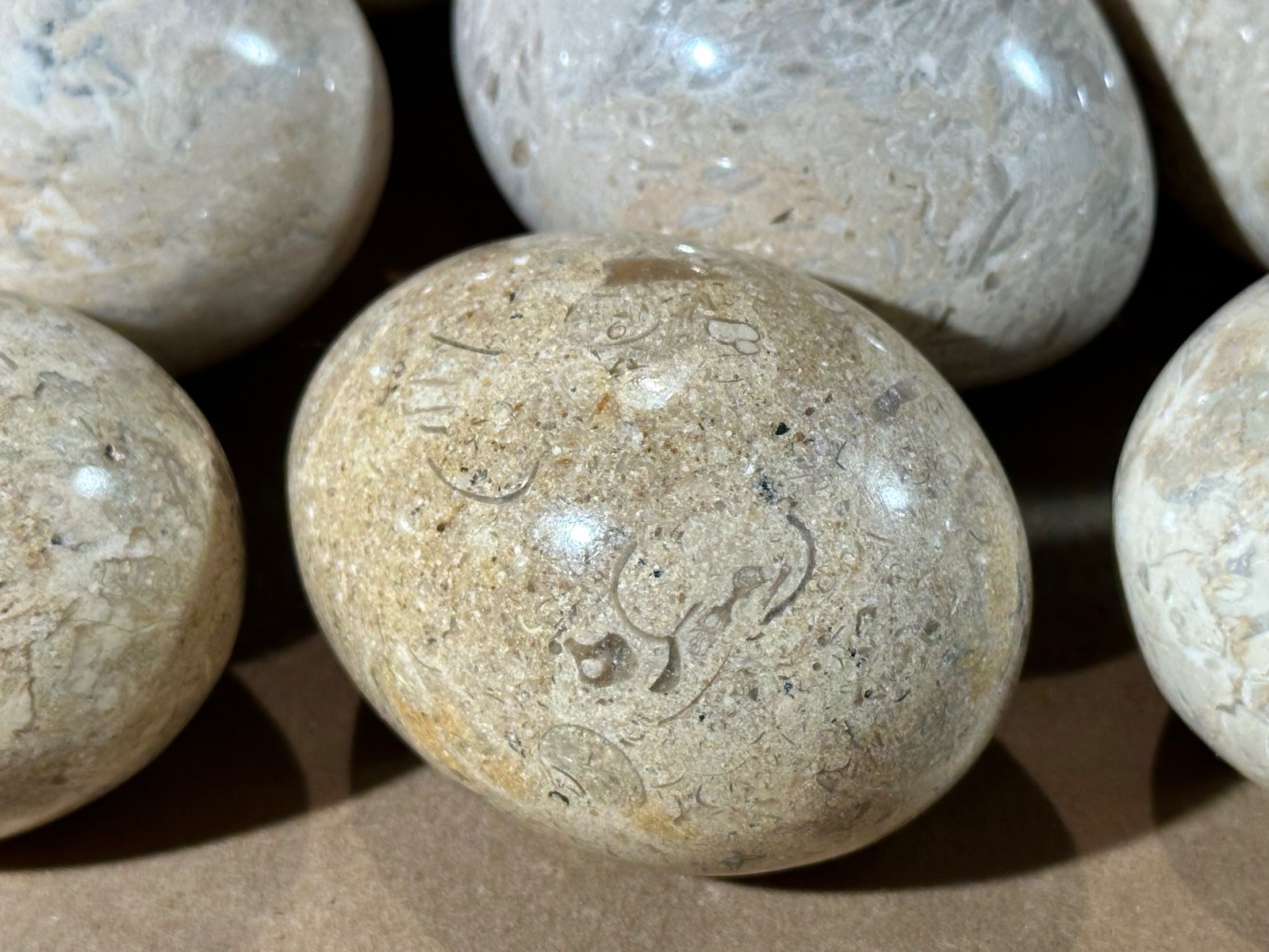 Lot of 10 Fossil Coral / Fossiliferous Limestone Polished Gemstone Eggs 2.75” –