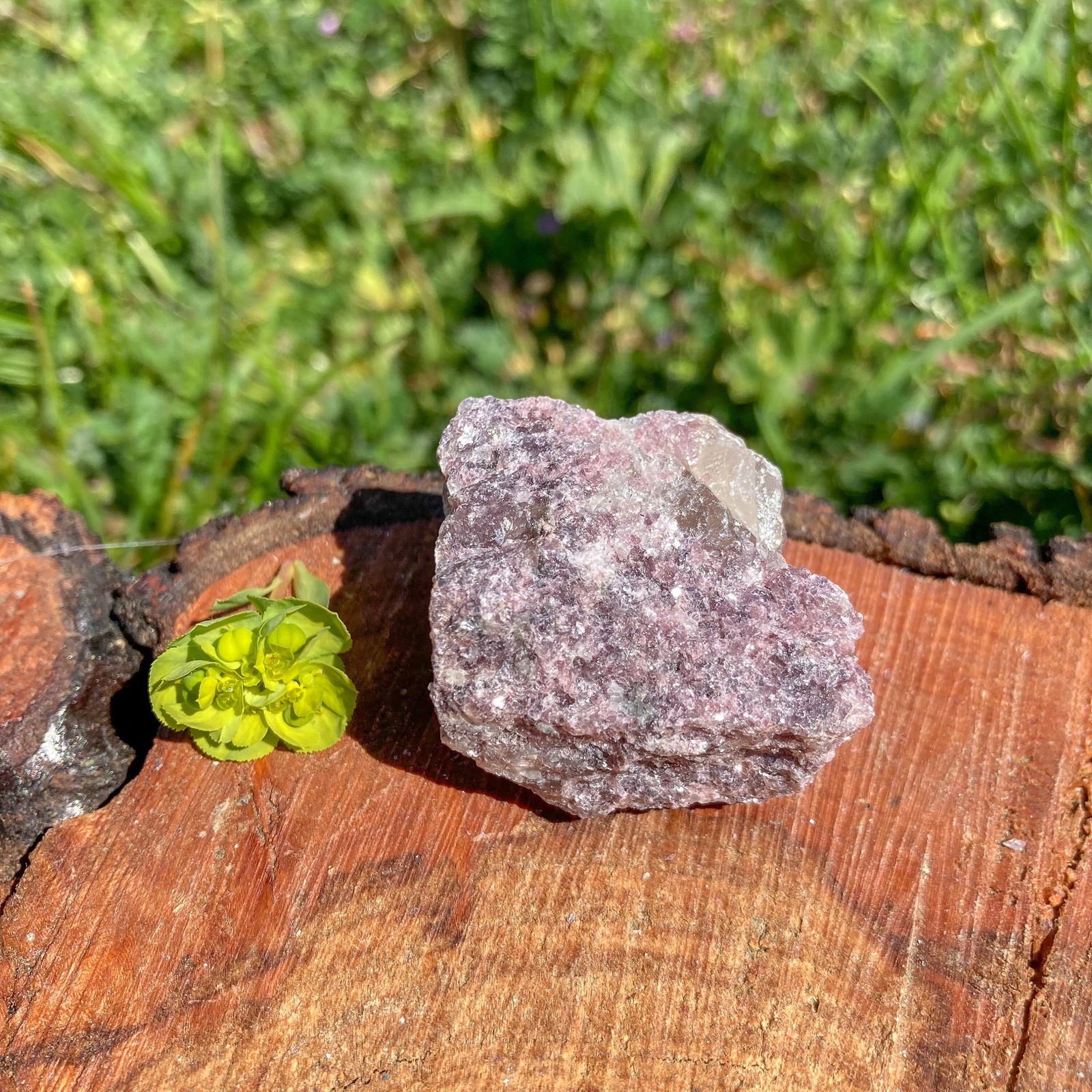 Rough Lepidolite Crystal / Stress Relief / Tranquility / Dreams / Lithium