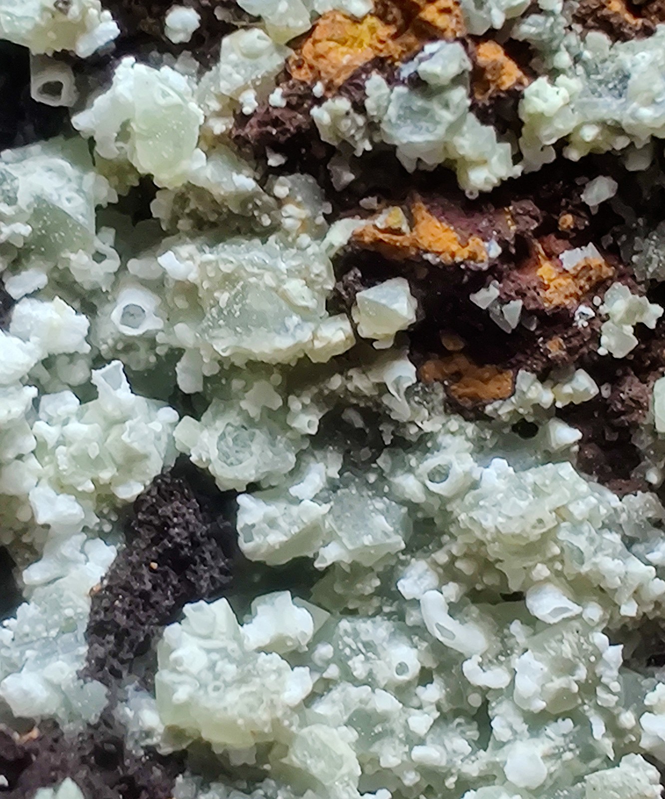 Fluorescent Adamite, Smithsonite on Limonite. Ojuela Mine, Mexico. 163 grams.