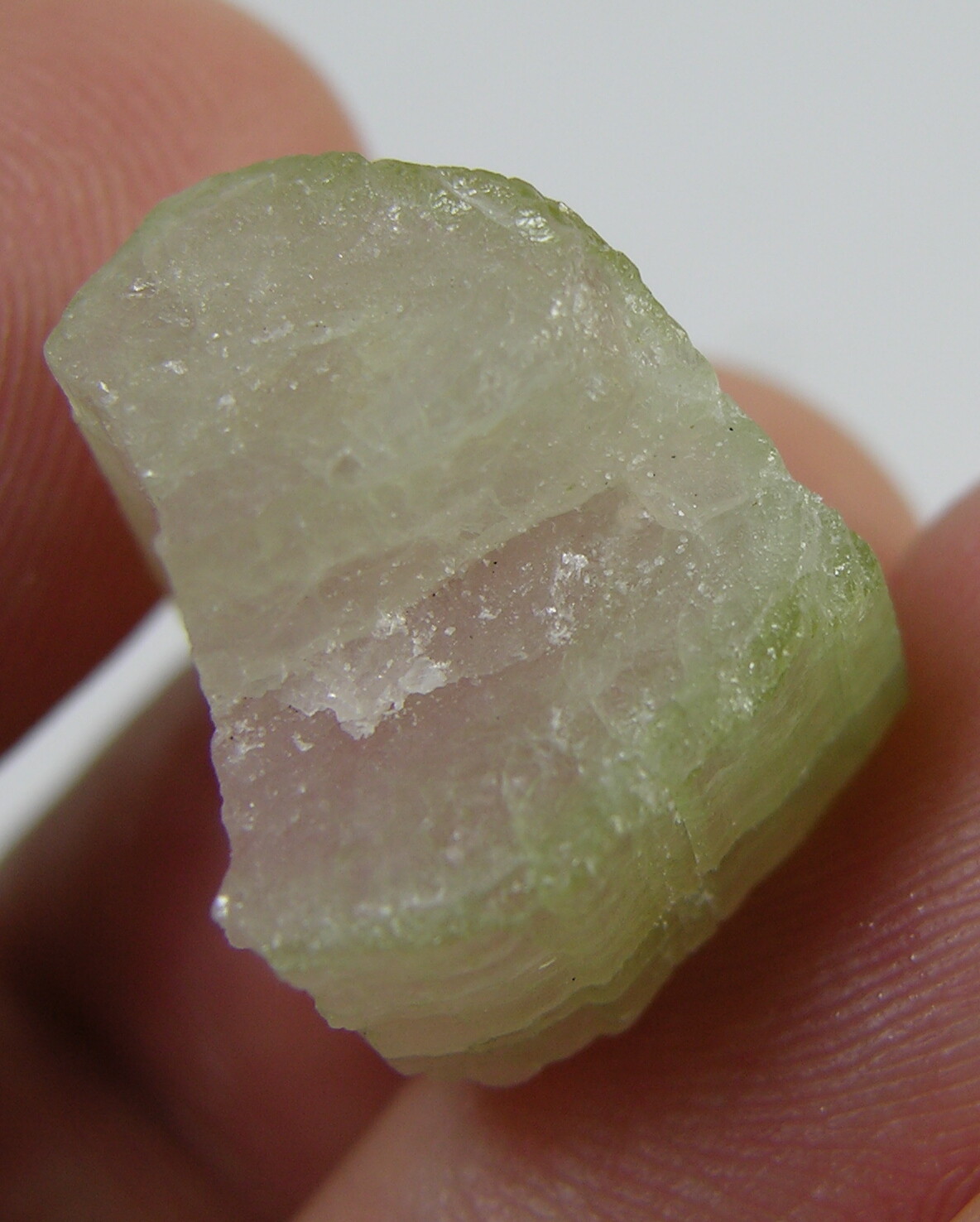 28.10ct Brazil 100% Natural Bi-Color Tourmaline Crystal Specimen 5.60g 16.00mm