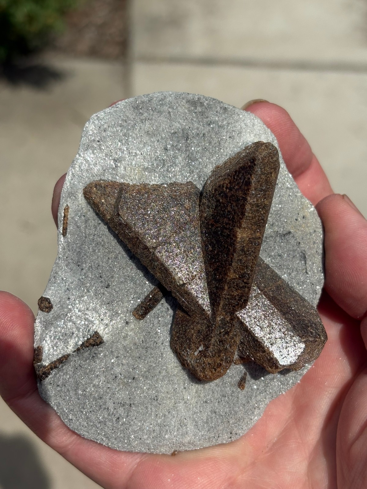 Staurolite, “fairy cross”, Keivy Mountains, Kola Peninsula, Russia