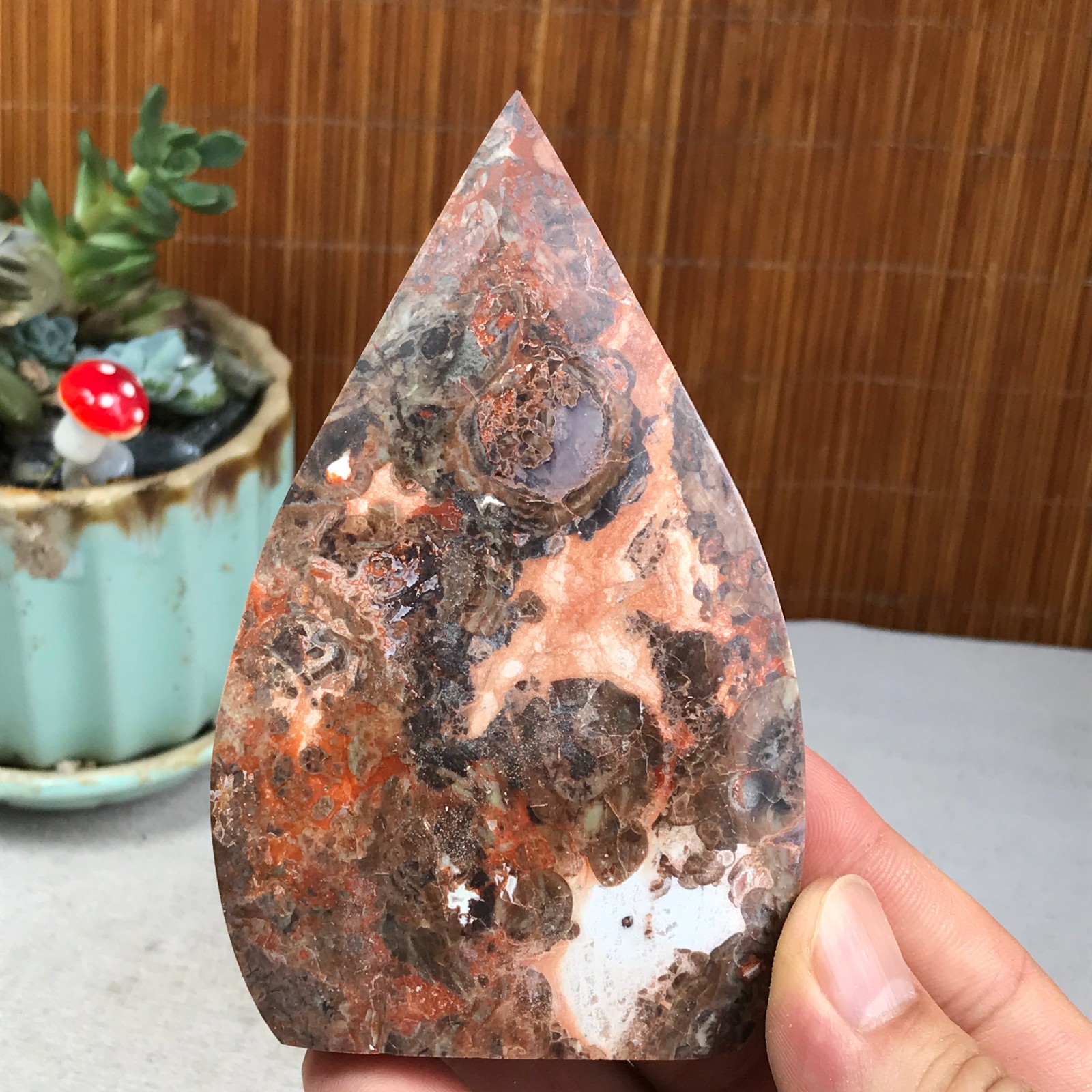 Natural money Mexico agate hand carve leaf Crystal Specimen free standing A6273