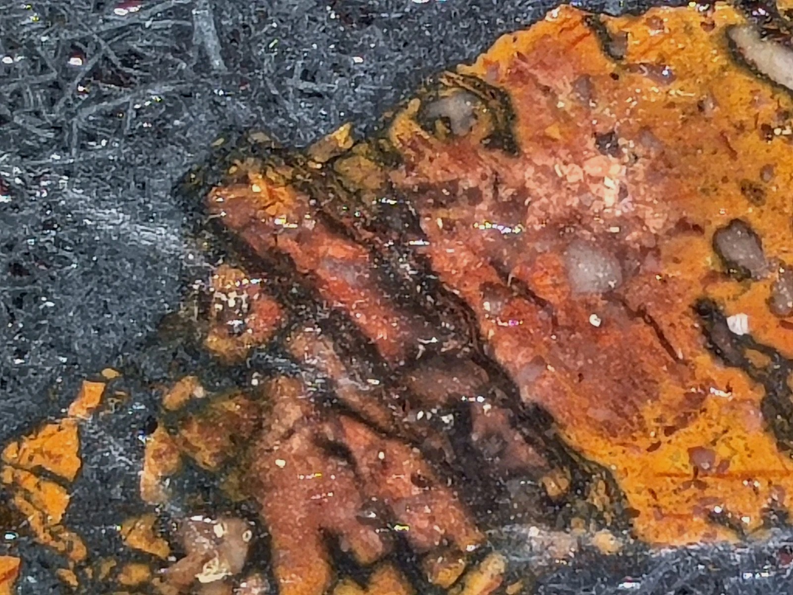 Shepard’s Fire Specular Hematite Rhyolite Porphyry 4lb 12.7oz polished Missouri