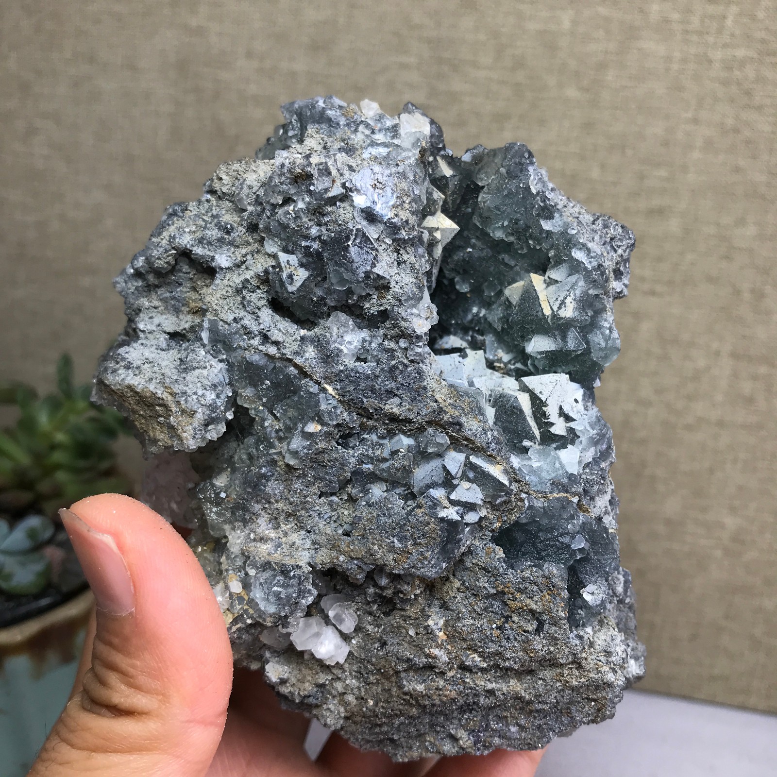476g NATURAL Green Cubic FLUORITE paragenesis Crystal Cluster Specimen A4780