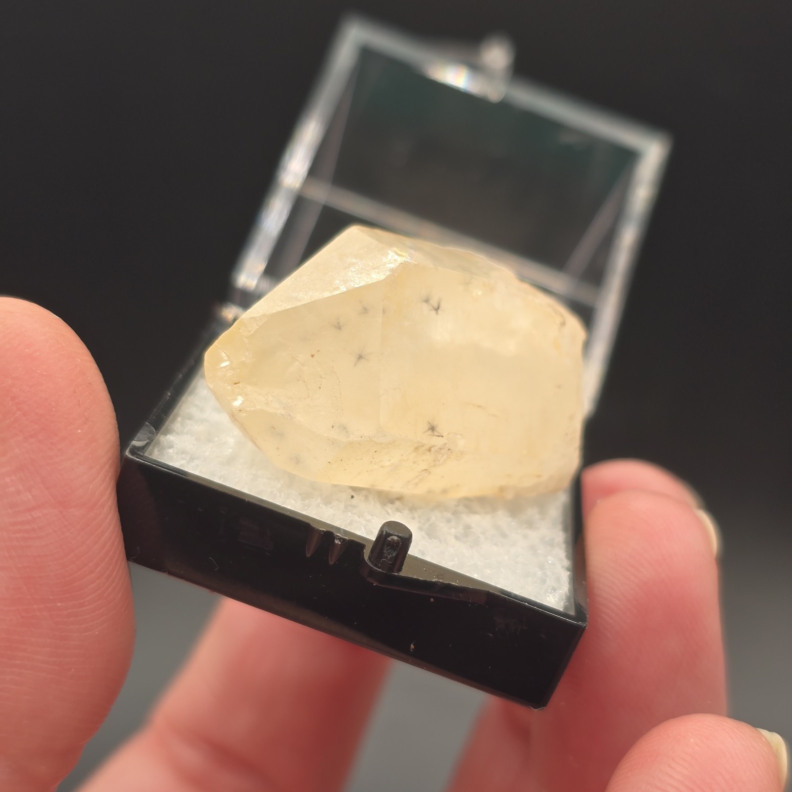 Hollandite Spider Quartz Point Crystal Madagascar Gemstone Specimen in Perky Box