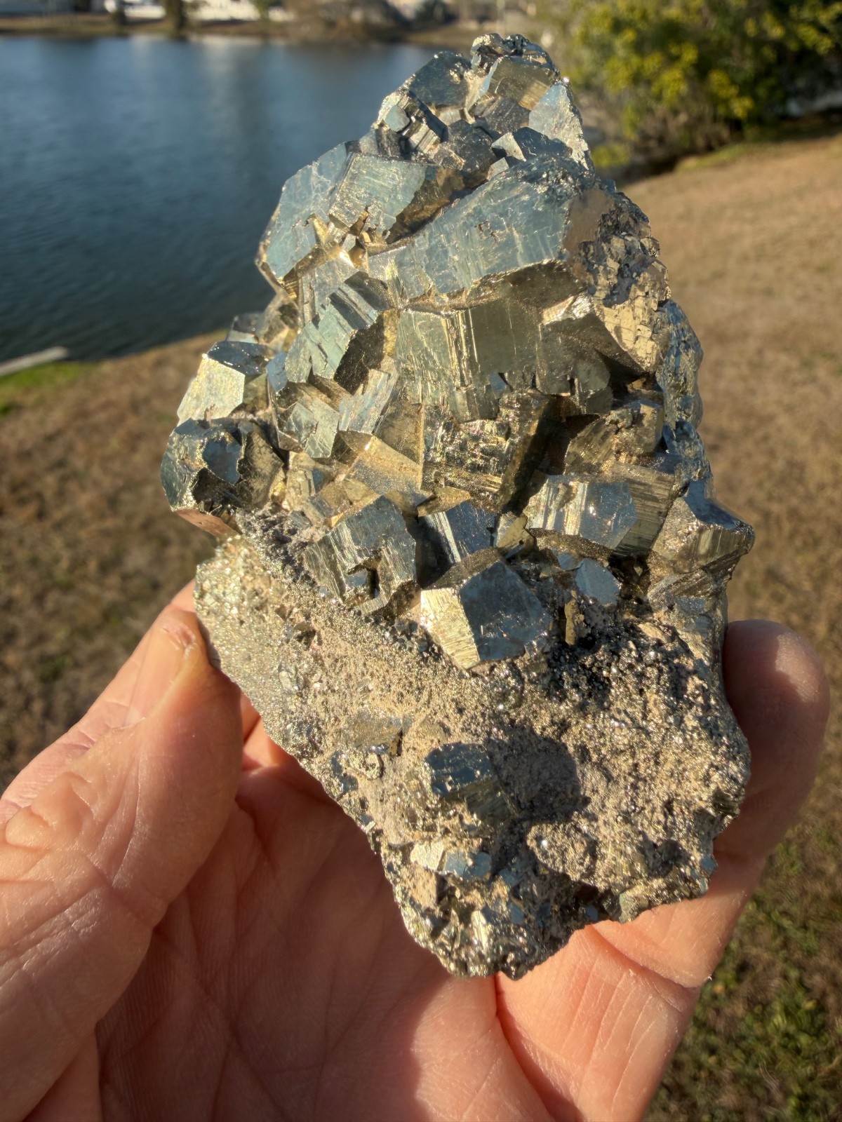PYRITE Crystal CUBE Cluster Huanzala Mine Peru 665gr 4″+ wide