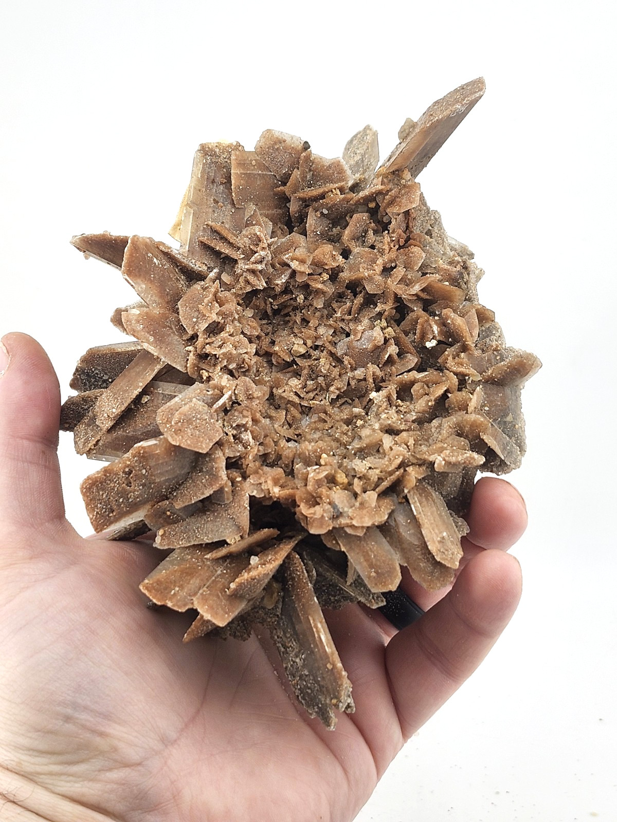 Hourglass Selenite Gypsum Crystal Cluster Oklahoma Old Stock 410 Grams